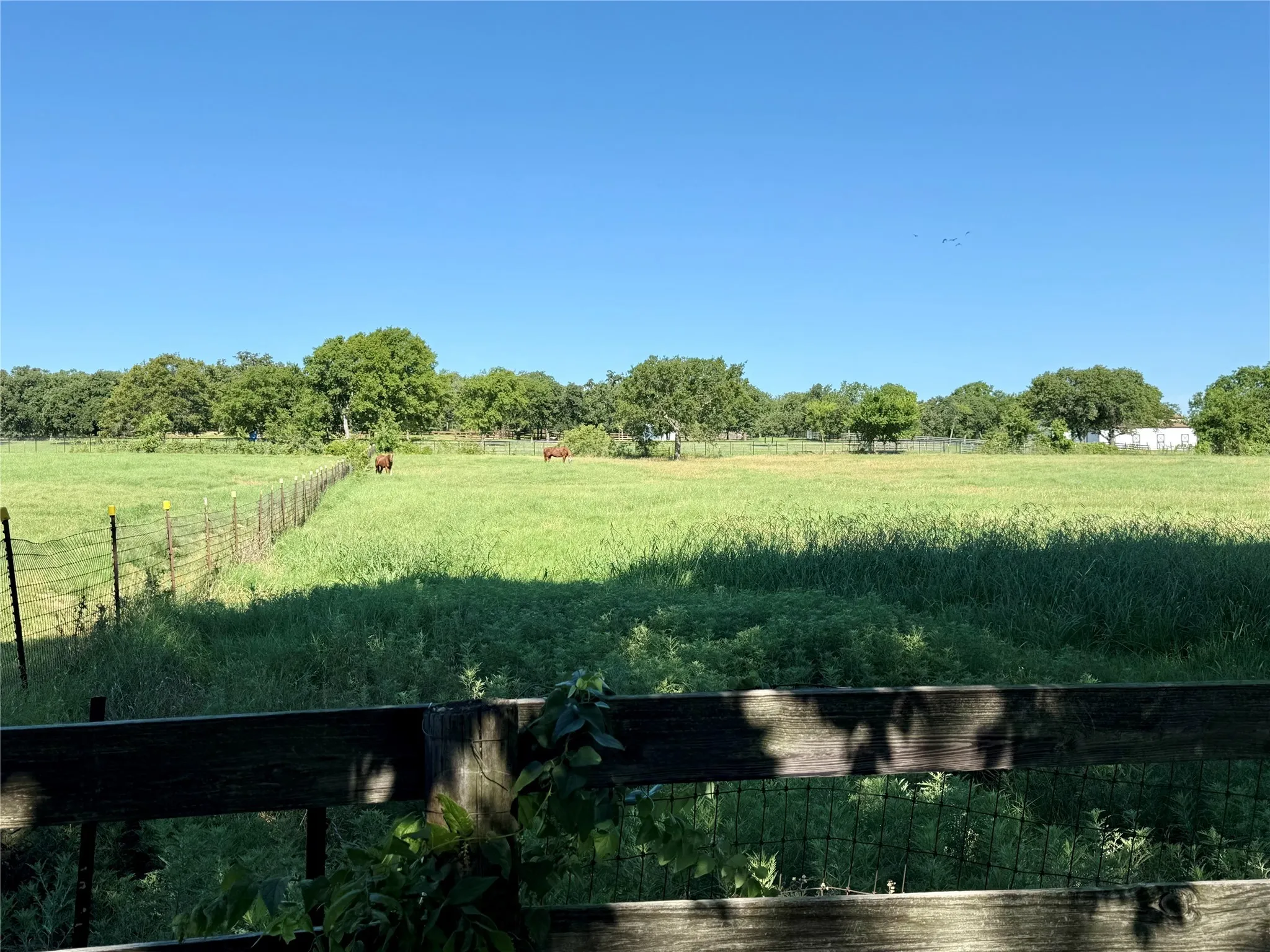 View of yard featuring a view of countryside
