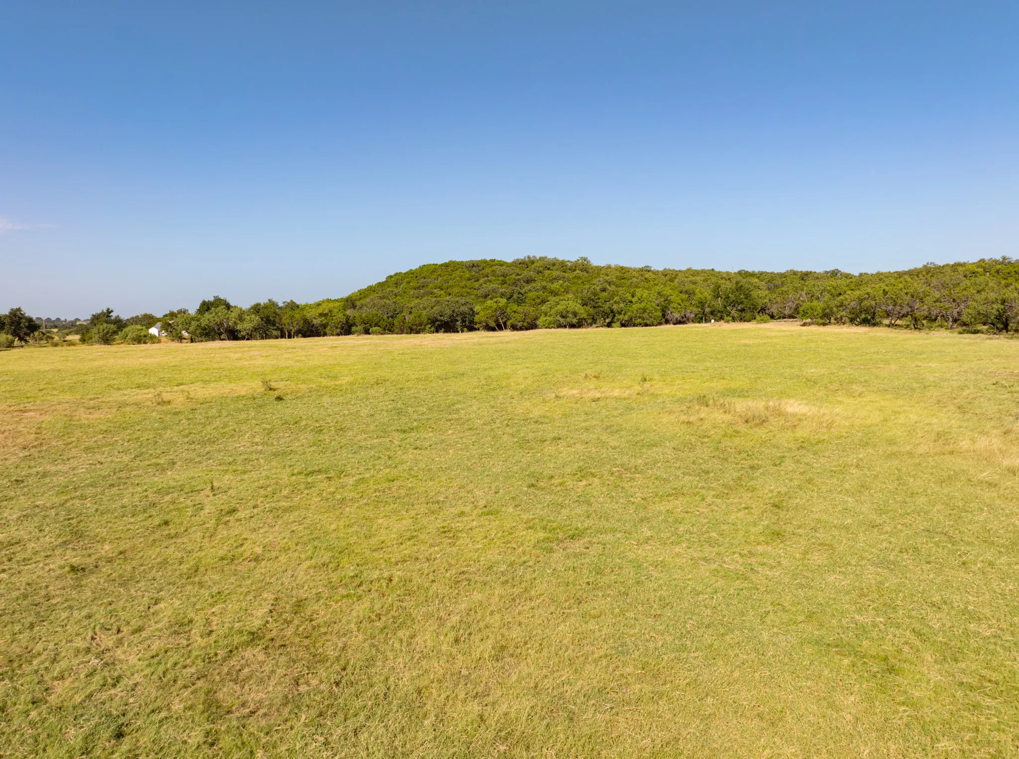 Unimproved Land For Sale in Palo Pinto County , 4171 Pleasant Valley Road, Mineral Wells, Texas 76067, 0, 0, Garage spaces, 0 Sqft, built in 0, Price $185,000, mls#21013166, Real Estate Agent in Mineral Wells, Homes For Sale in Palo Pinto county, Homes For Sale in Mineral Wells, Realtor in Mineral Wells Texas, Real Estate Brokerage Independent Realty Texas, Luminita Cordes Realtor