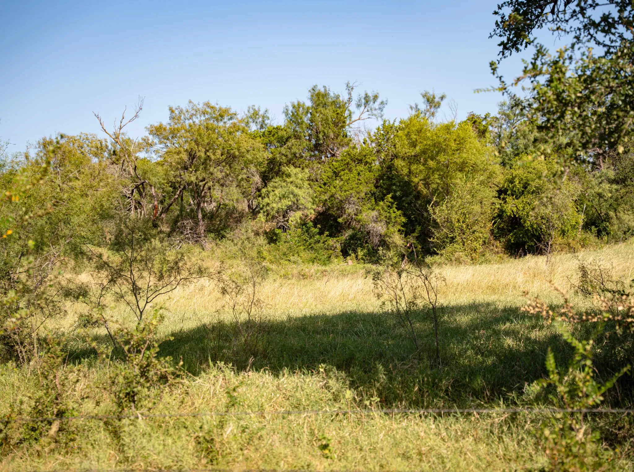 Unimproved Land For Sale in Palo Pinto County , 4171 Pleasant Valley Road, Mineral Wells, Texas 76067, 0, 0, Garage spaces, 0 Sqft, built in 0, Price $185,000, mls#21013166, Real Estate Agent in Mineral Wells, Homes For Sale in Palo Pinto county, Homes For Sale in Mineral Wells, Realtor in Mineral Wells Texas, Real Estate Brokerage Independent Realty Texas, Luminita Cordes Realtor
