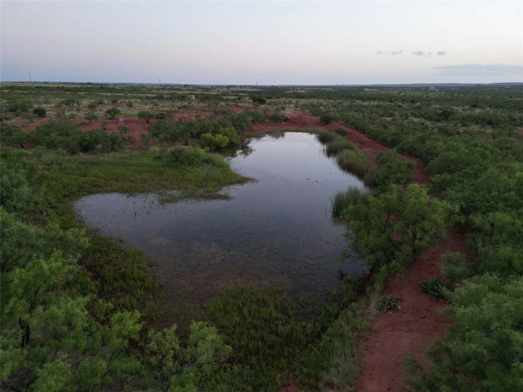 Ranch For Sale in Taylor County , TBD CR 177, Ovalo, Texas 79567, 0, 0, Garage spaces, 0 Sqft, built in 0, mls#21023225, Real Estate Agent in Ovalo, Homes For Sale in Taylor county, Homes For Sale in Ovalo, Realtor in Ovalo Texas, Real Estate Brokerage Independent Realty Texas, Luminita Cordes Realtor
