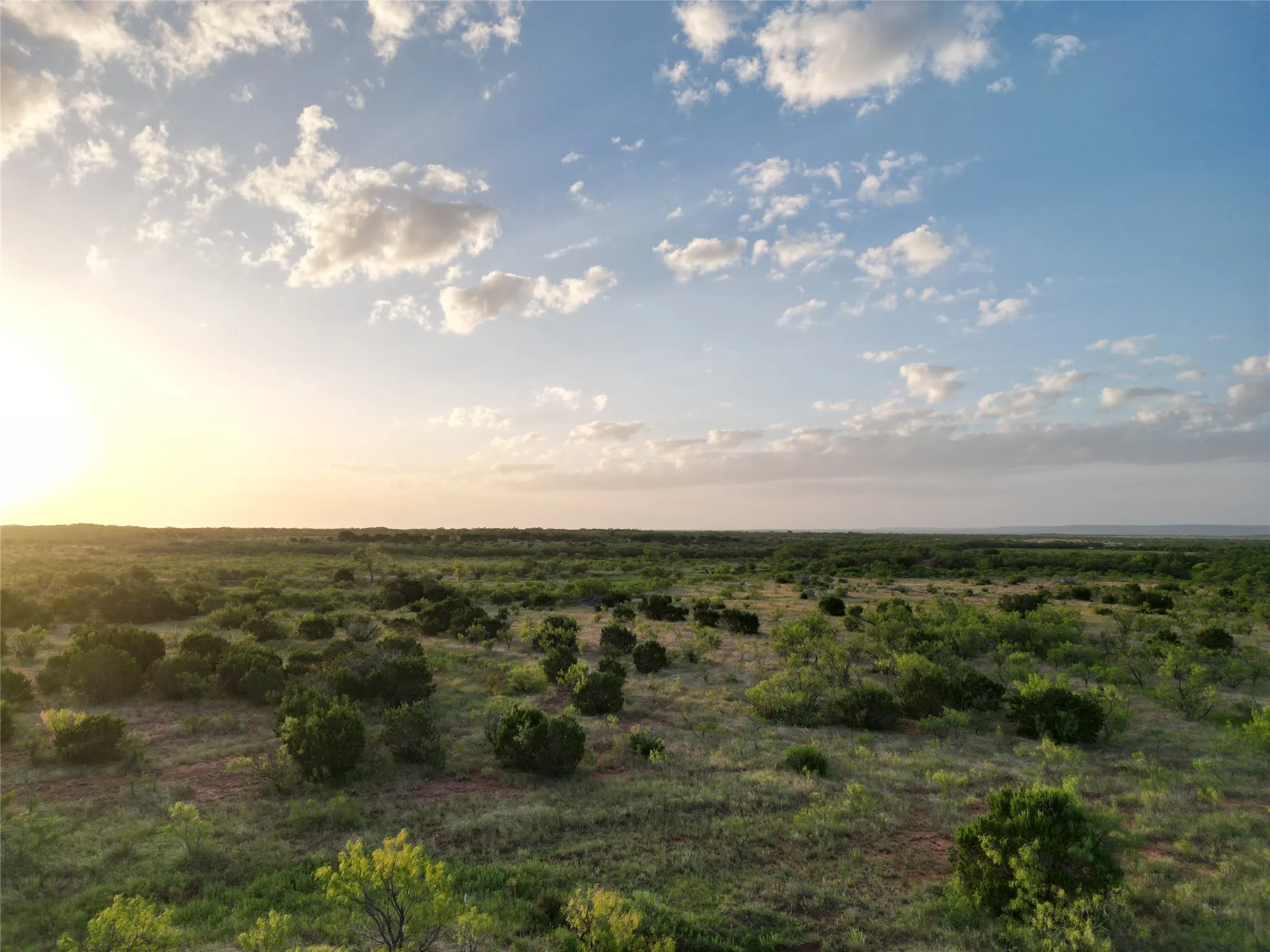 Ranch For Sale in Taylor County , TBD CR 177, Ovalo, Texas 79567, 0, 0, Garage spaces, 0 Sqft, built in 0, mls#21023225, Real Estate Agent in Ovalo, Homes For Sale in Taylor county, Homes For Sale in Ovalo, Realtor in Ovalo Texas, Real Estate Brokerage Independent Realty Texas, Luminita Cordes Realtor