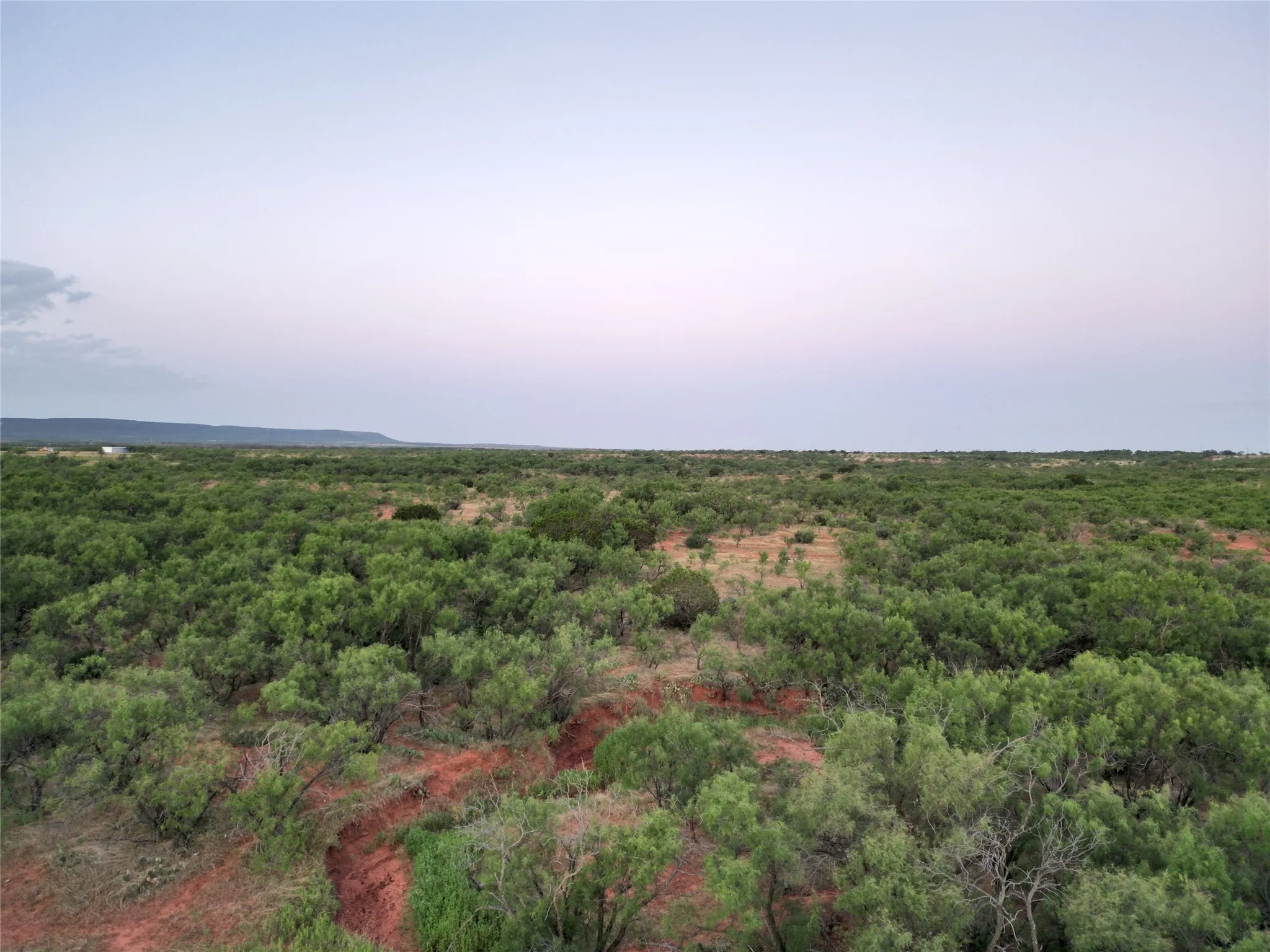 Ranch For Sale in Taylor County , TBD CR 177, Ovalo, Texas 79567, 0, 0, Garage spaces, 0 Sqft, built in 0, mls#21023225, Real Estate Agent in Ovalo, Homes For Sale in Taylor county, Homes For Sale in Ovalo, Realtor in Ovalo Texas, Real Estate Brokerage Independent Realty Texas, Luminita Cordes Realtor