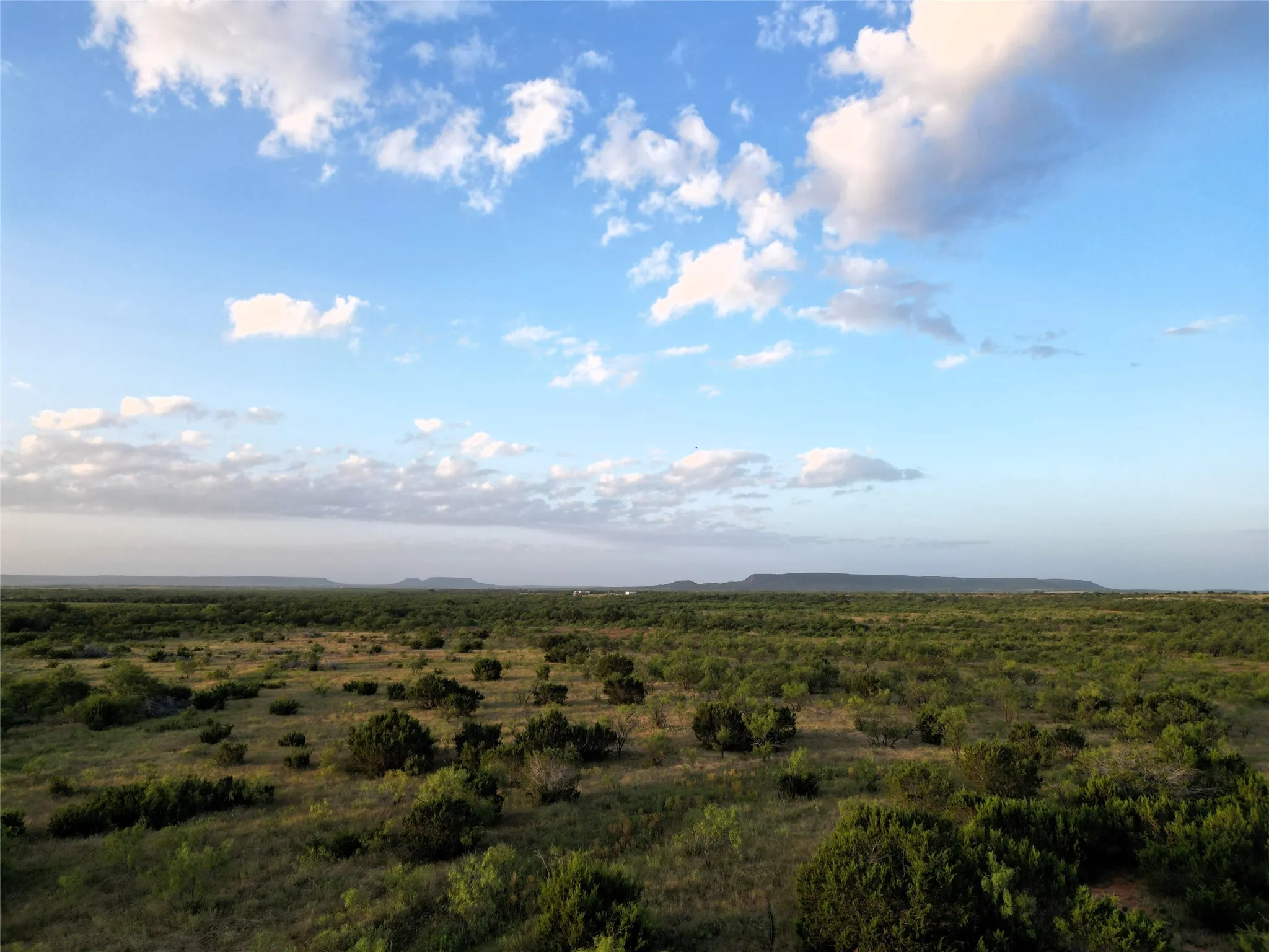 Ranch For Sale in Taylor County , TBD CR 177, Ovalo, Texas 79567, 0, 0, Garage spaces, 0 Sqft, built in 0, mls#21023225, Real Estate Agent in Ovalo, Homes For Sale in Taylor county, Homes For Sale in Ovalo, Realtor in Ovalo Texas, Real Estate Brokerage Independent Realty Texas, Luminita Cordes Realtor