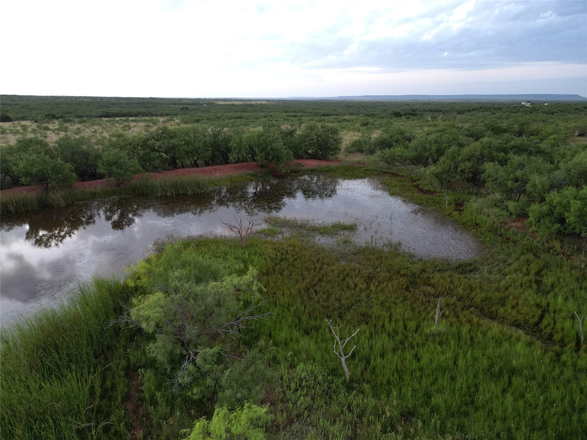 Ranch For Sale in Taylor County , TBD CR 177, Ovalo, Texas 79567, 0, 0, Garage spaces, 0 Sqft, built in 0, mls#21023225, Real Estate Agent in Ovalo, Homes For Sale in Taylor county, Homes For Sale in Ovalo, Realtor in Ovalo Texas, Real Estate Brokerage Independent Realty Texas, Luminita Cordes Realtor