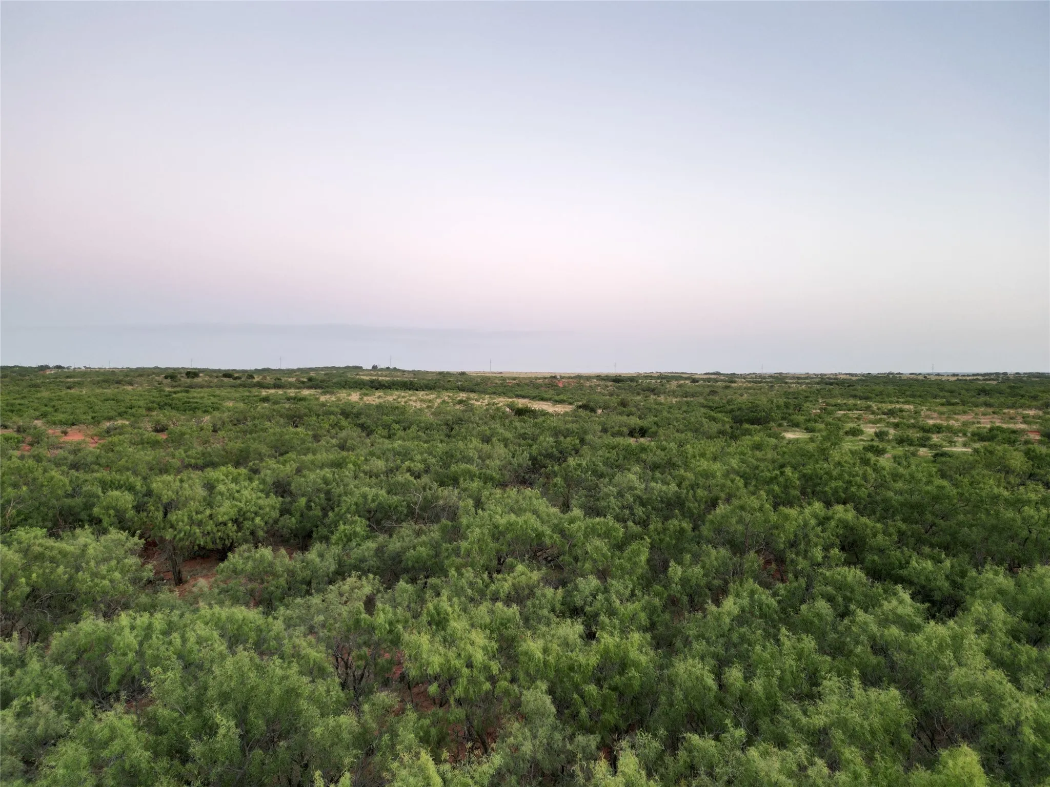 Ranch For Sale in Taylor County , TBD CR 177, Ovalo, Texas 79567, 0, 0, Garage spaces, 0 Sqft, built in 0, mls#21023225, Real Estate Agent in Ovalo, Homes For Sale in Taylor county, Homes For Sale in Ovalo, Realtor in Ovalo Texas, Real Estate Brokerage Independent Realty Texas, Luminita Cordes Realtor