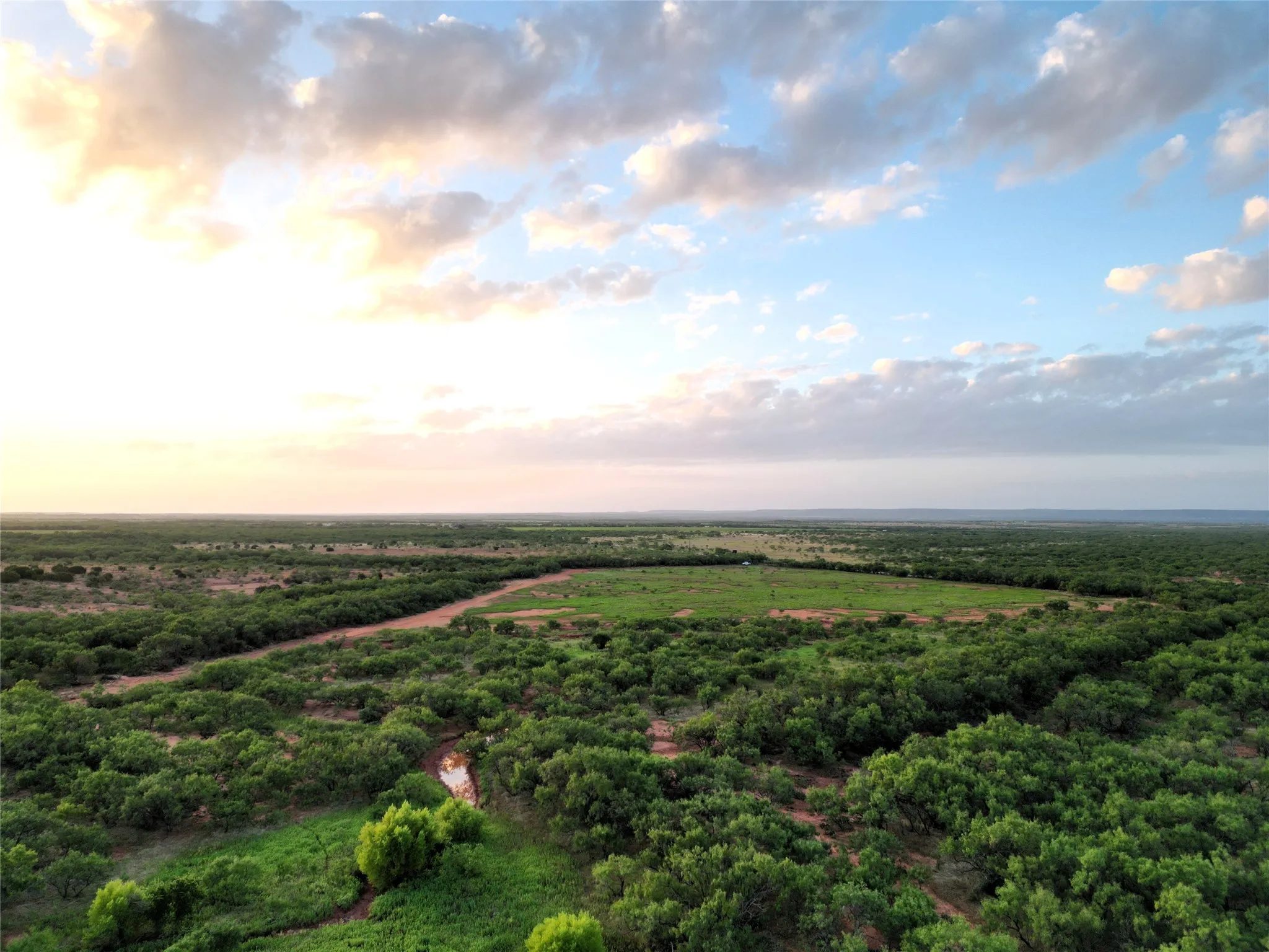 Ranch For Sale in Taylor County , TBD CR 177, Ovalo, Texas 79567, 0, 0, Garage spaces, 0 Sqft, built in 0, mls#21023225, Real Estate Agent in Ovalo, Homes For Sale in Taylor county, Homes For Sale in Ovalo, Realtor in Ovalo Texas, Real Estate Brokerage Independent Realty Texas, Luminita Cordes Realtor