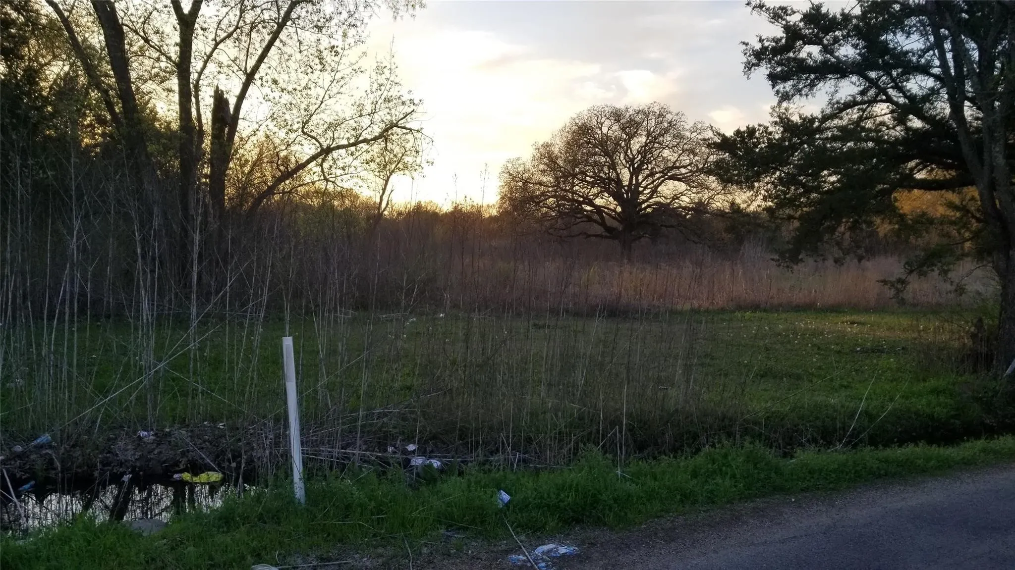 Unimproved Land For Sale in Kaufman County , 1180 Rose Hill Road, Terrell, Texas 75160, 0, 0, Garage spaces, 0 Sqft, built in 0, Price $399,990, mls#21023702, Real Estate Agent in Terrell, Homes For Sale in Kaufman county, Homes For Sale in Terrell, Realtor in Terrell Texas, Real Estate Brokerage Independent Realty Texas, Luminita Cordes Realtor