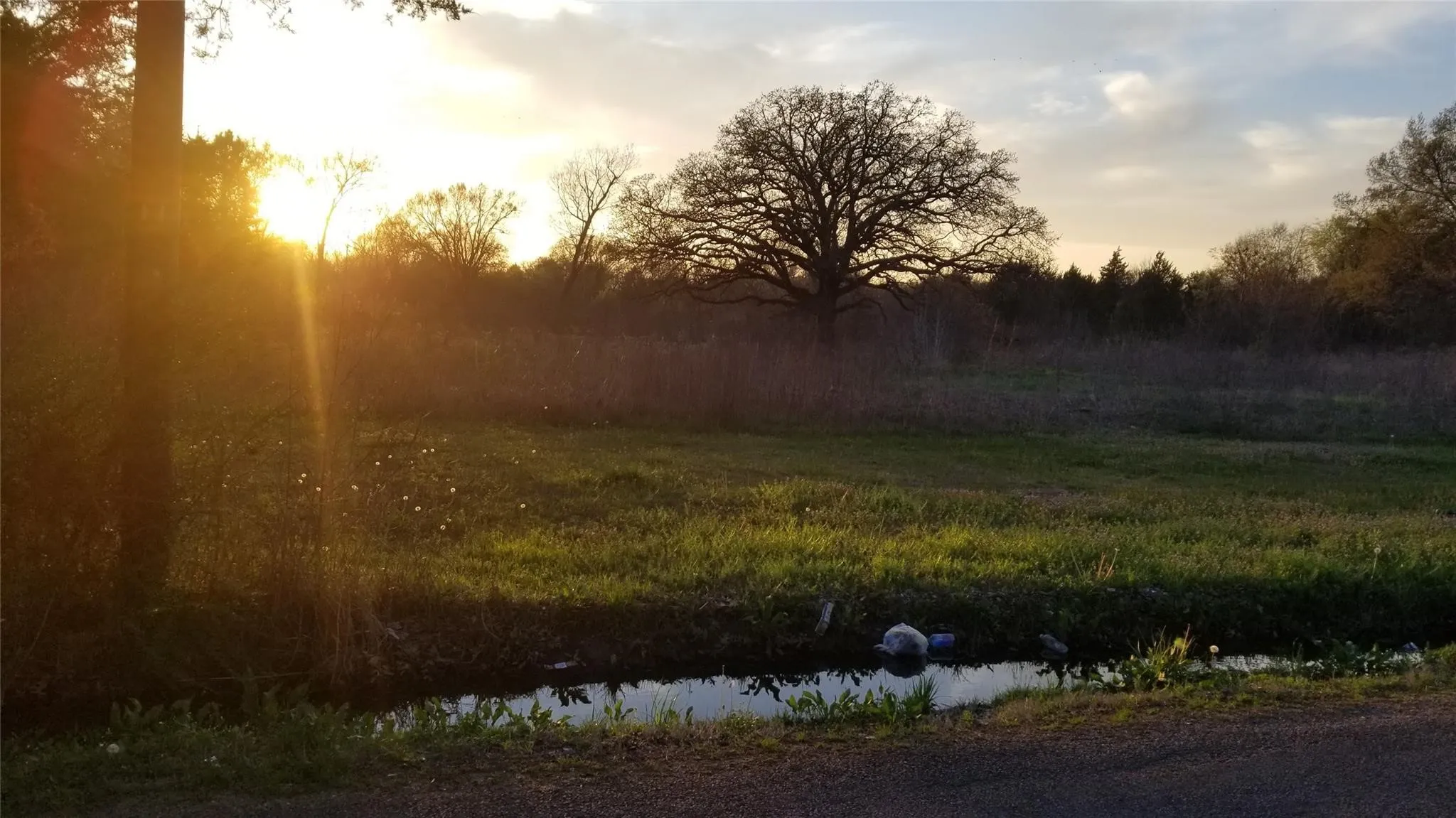 Unimproved Land For Sale in Kaufman County , 1180 Rose Hill Road, Terrell, Texas 75160, 0, 0, Garage spaces, 0 Sqft, built in 0, Price $399,990, mls#21023702, Real Estate Agent in Terrell, Homes For Sale in Kaufman county, Homes For Sale in Terrell, Realtor in Terrell Texas, Real Estate Brokerage Independent Realty Texas, Luminita Cordes Realtor