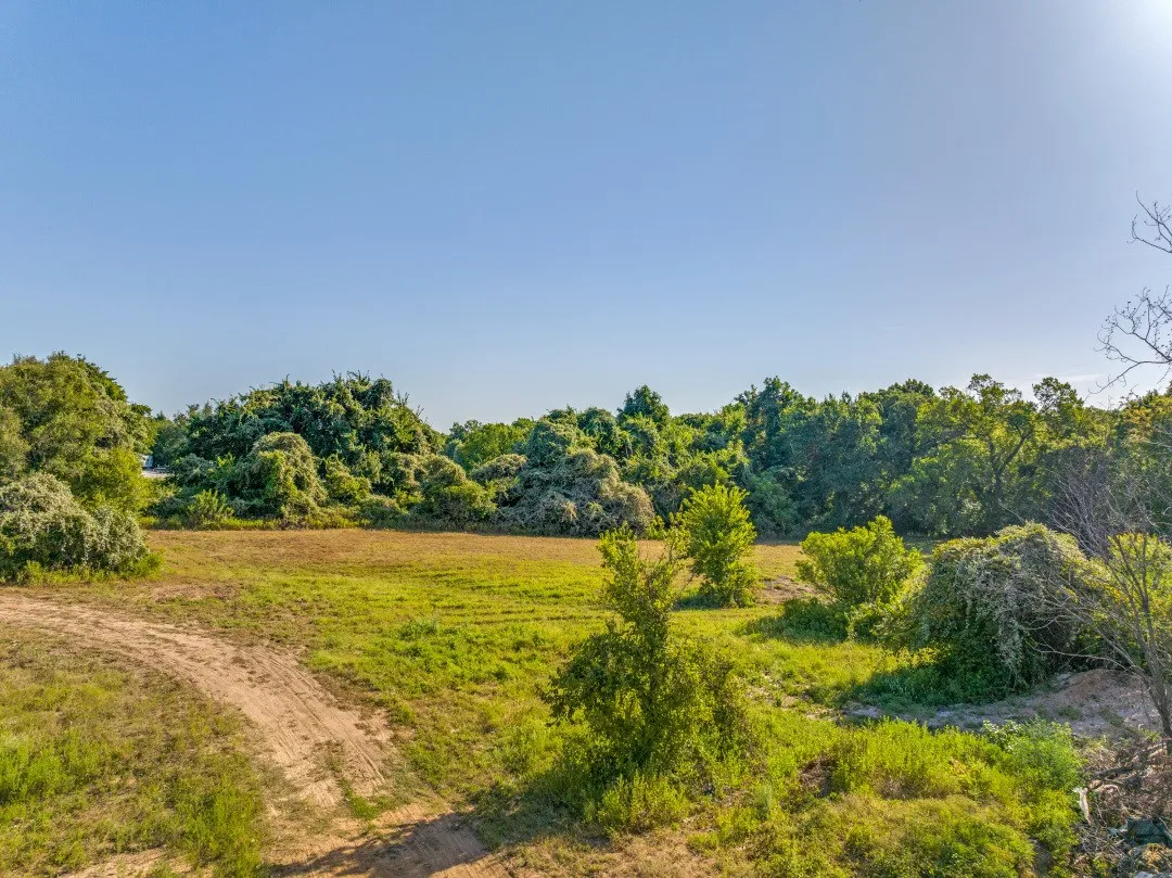 View of local wilderness