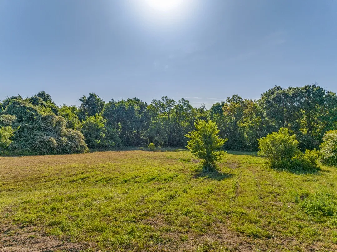 View of yard featuring a rural view and a view of trees