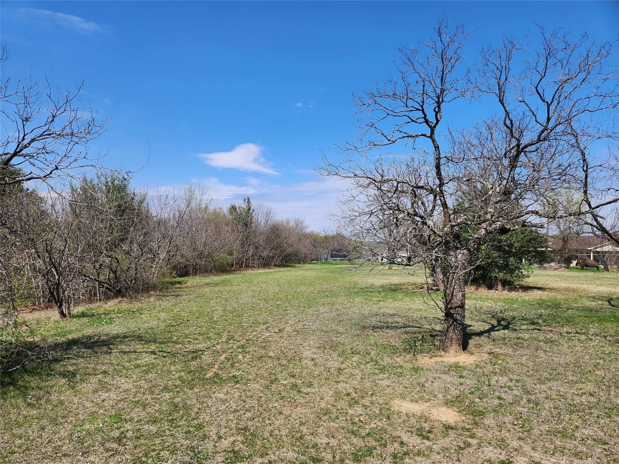 View of green lawn