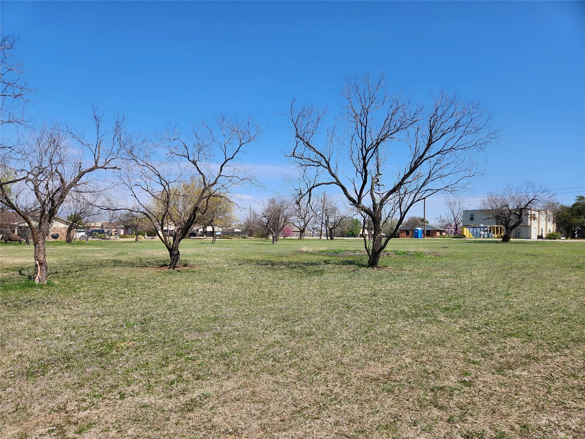 View of grassy yard