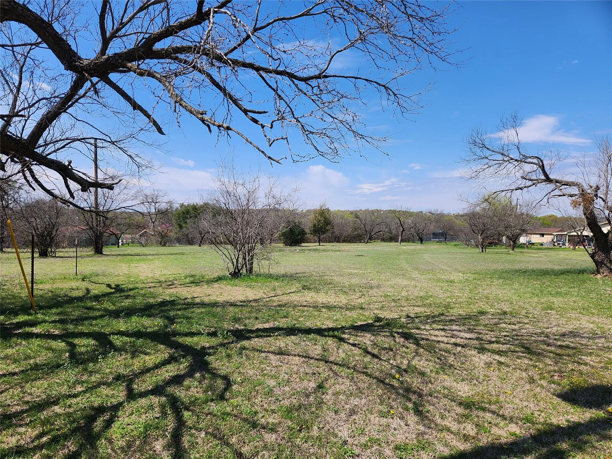 View of green lawn