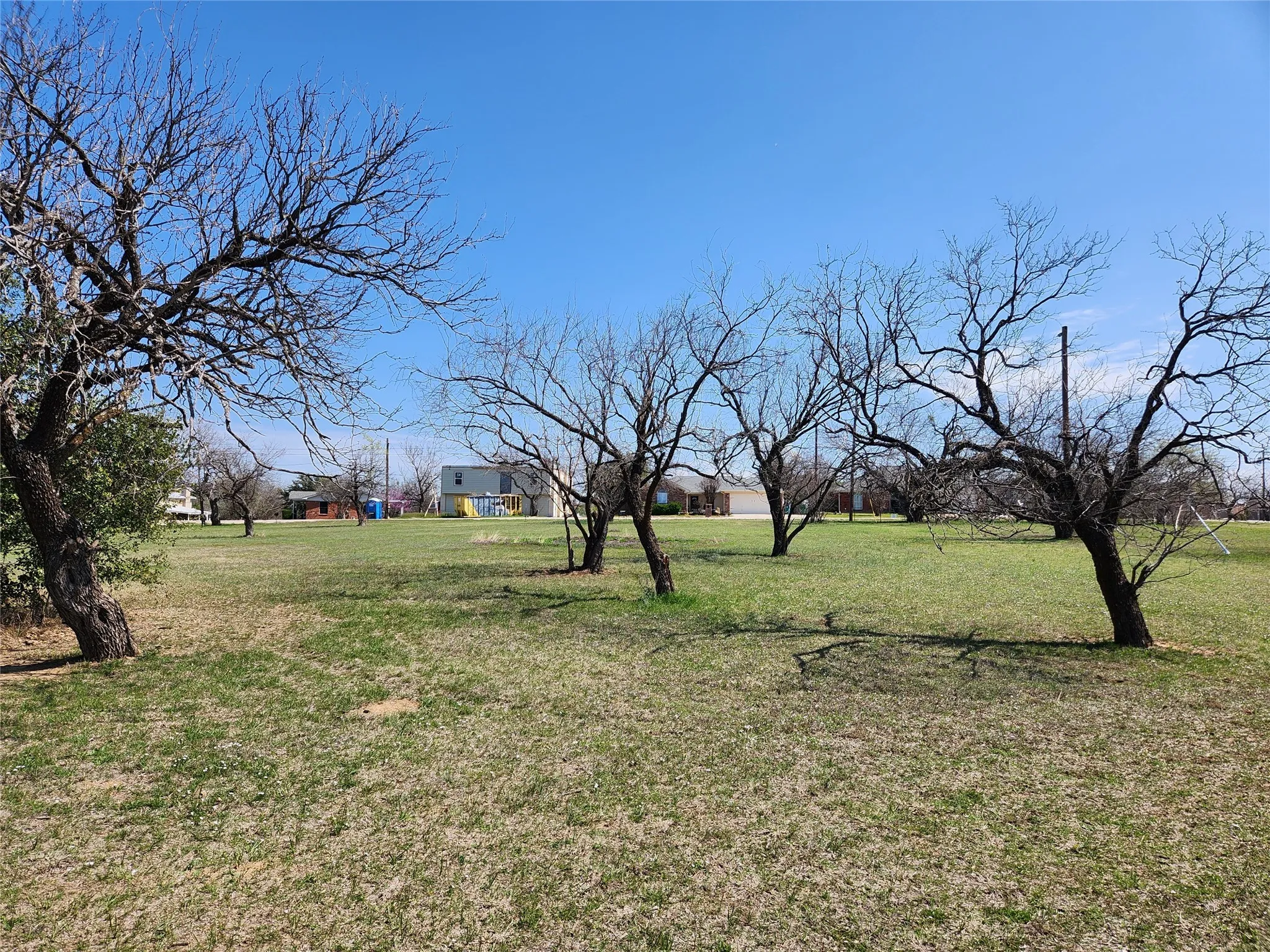 View of green lawn