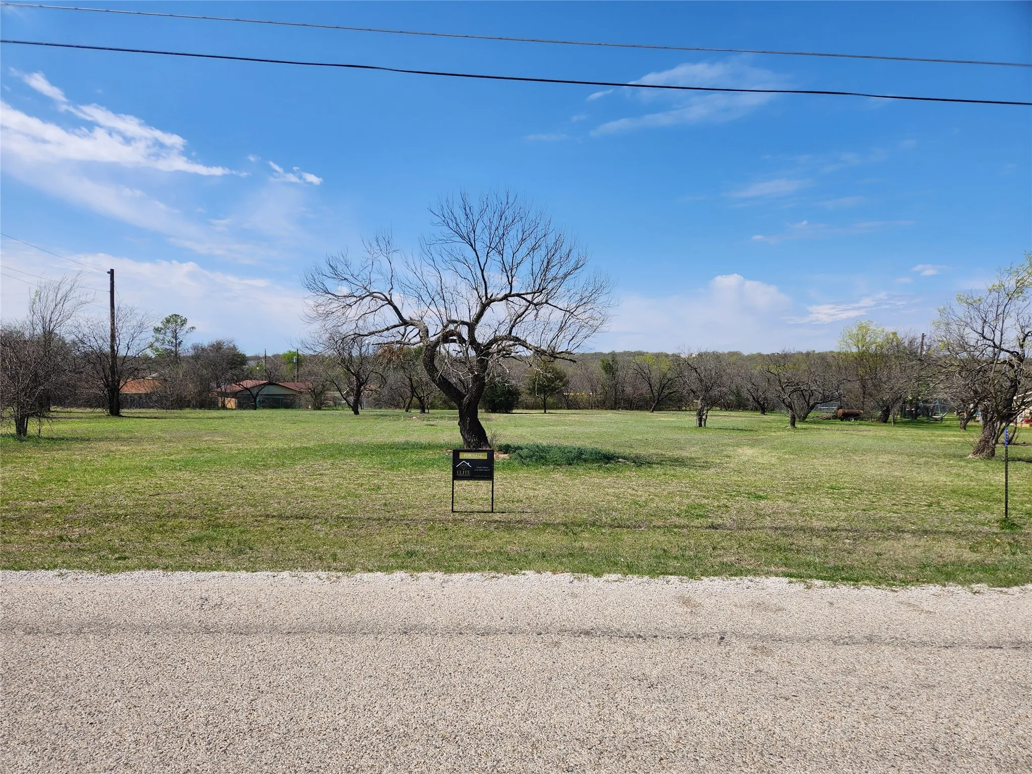 View of green lawn