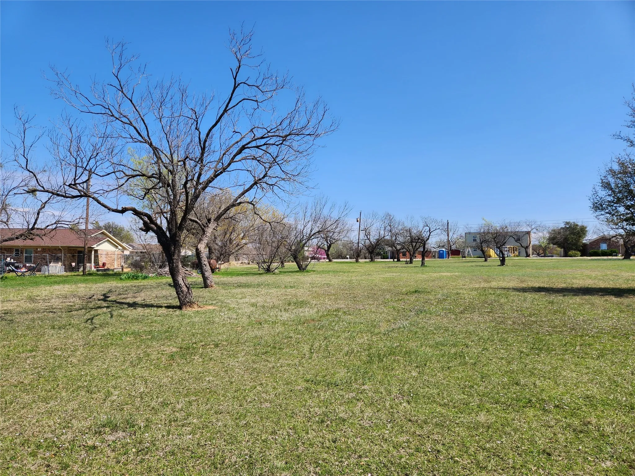 View of grassy yard