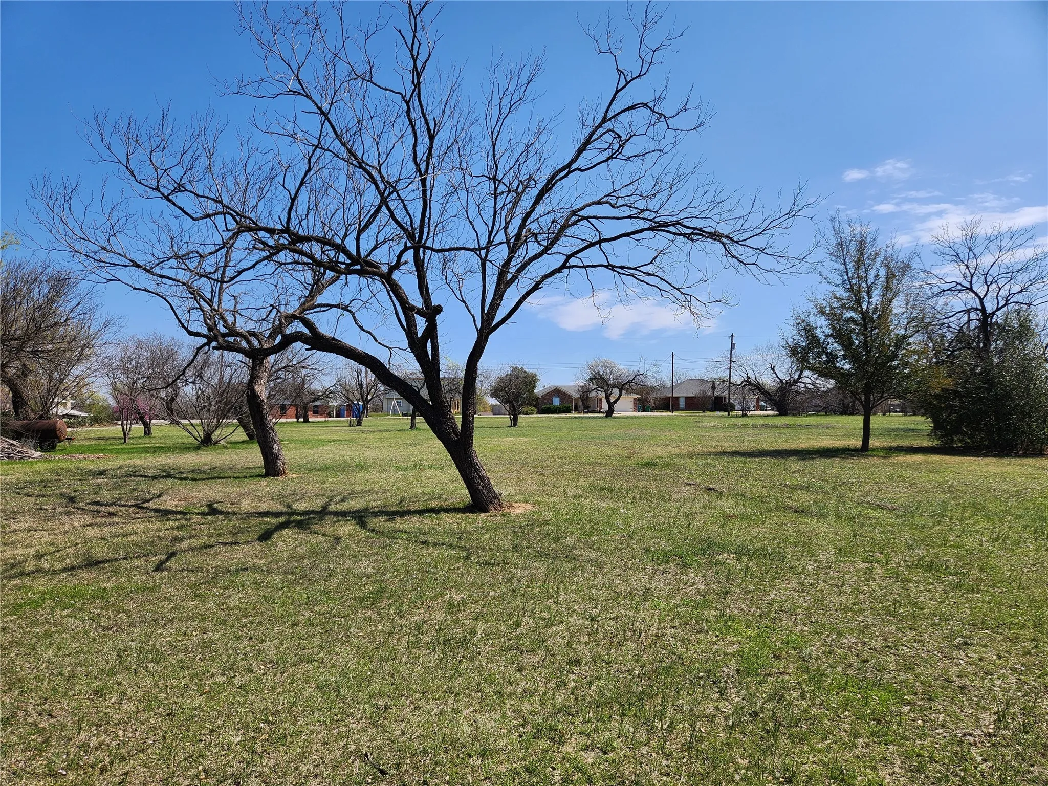 View of grassy yard
