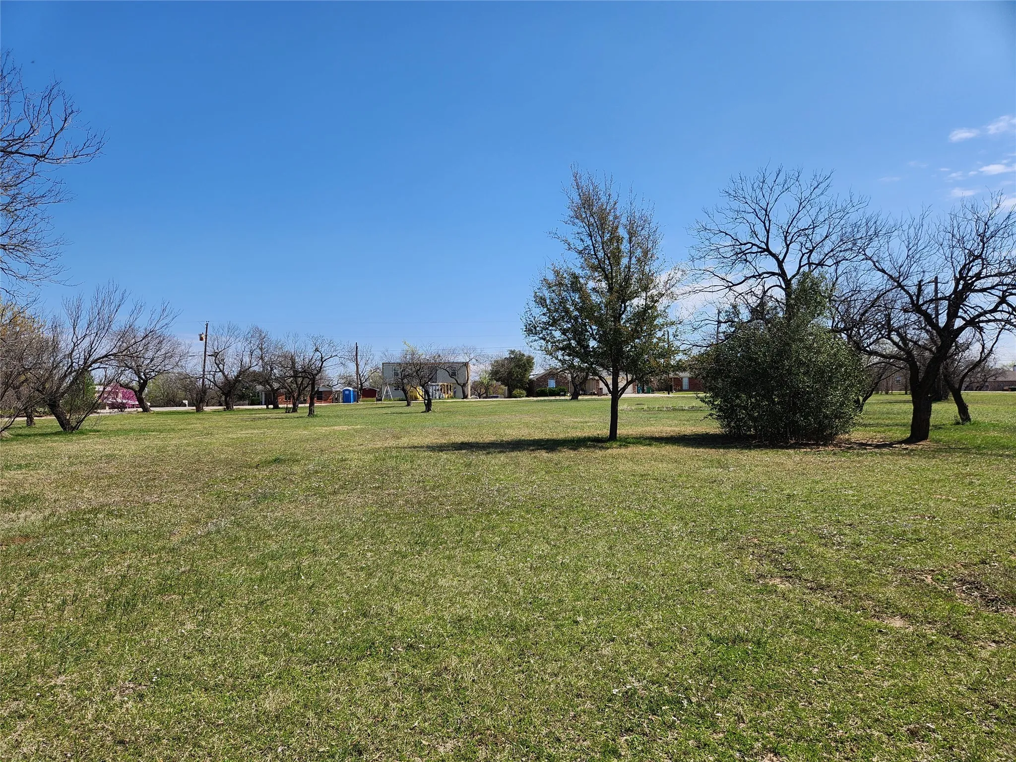 View of grassy yard