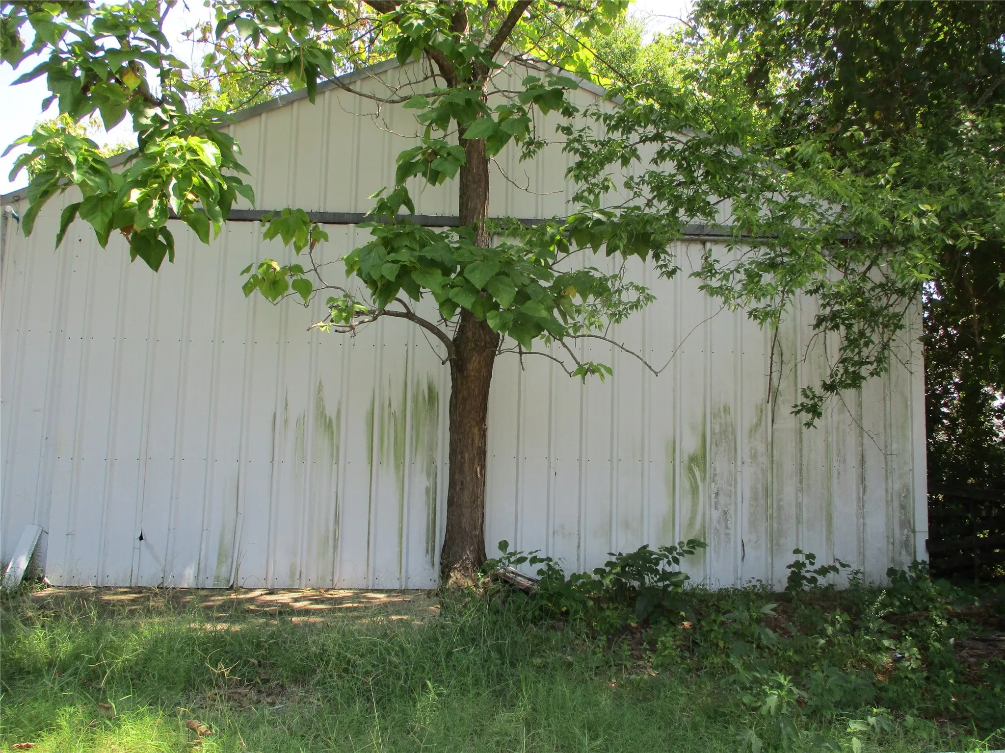 Unimproved Land For Sale in Rains County , TBD Wood Street, Emory, Texas 75440, 0, 0, Garage spaces, 0 Sqft, built in 0, mls#21023965, Real Estate Agent in Emory, Homes For Sale in Rains county, Homes For Sale in Emory, Realtor in Emory Texas, Real Estate Brokerage Independent Realty Texas, Luminita Cordes Realtor