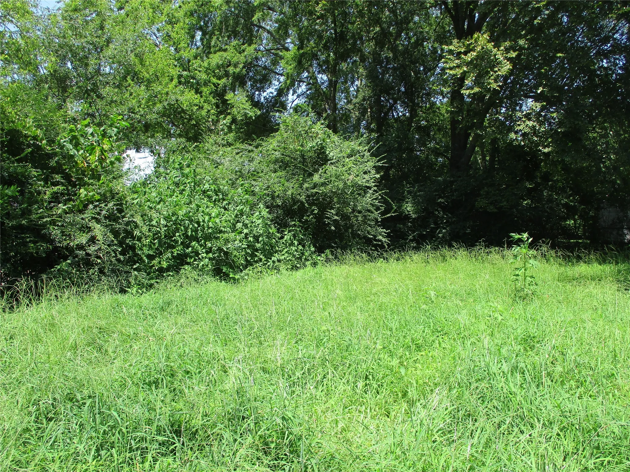 Unimproved Land For Sale in Rains County , TBD Wood Street, Emory, Texas 75440, 0, 0, Garage spaces, 0 Sqft, built in 0, mls#21023965, Real Estate Agent in Emory, Homes For Sale in Rains county, Homes For Sale in Emory, Realtor in Emory Texas, Real Estate Brokerage Independent Realty Texas, Luminita Cordes Realtor
