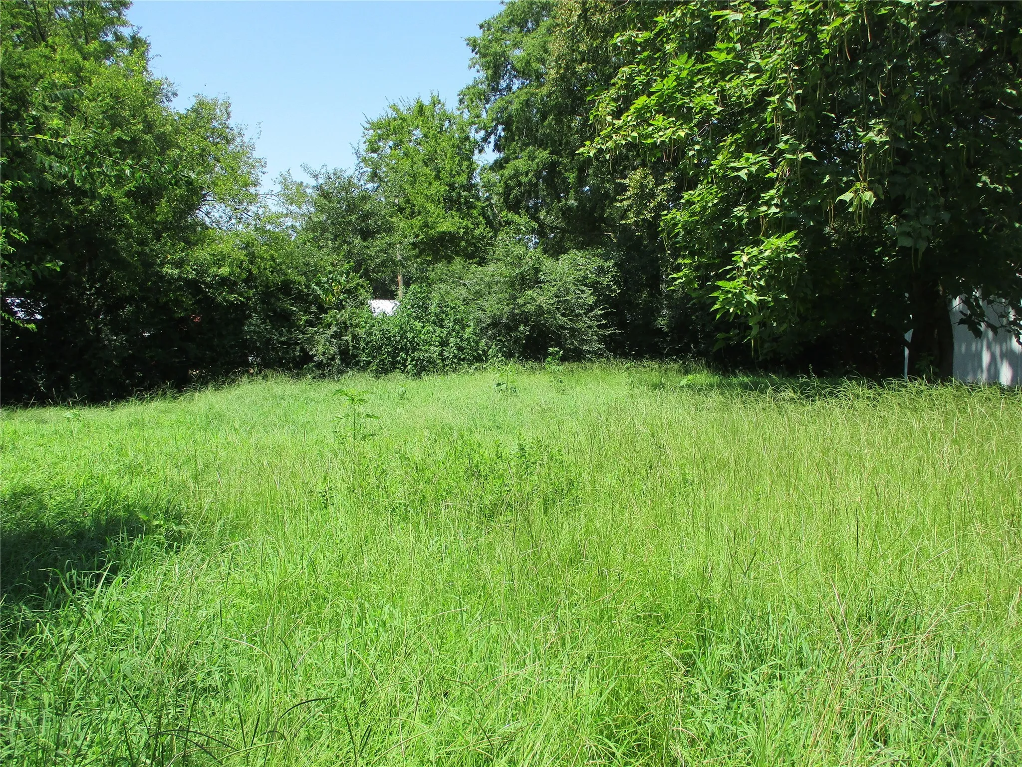 Unimproved Land For Sale in Rains County , TBD Wood Street, Emory, Texas 75440, 0, 0, Garage spaces, 0 Sqft, built in 0, mls#21023965, Real Estate Agent in Emory, Homes For Sale in Rains county, Homes For Sale in Emory, Realtor in Emory Texas, Real Estate Brokerage Independent Realty Texas, Luminita Cordes Realtor