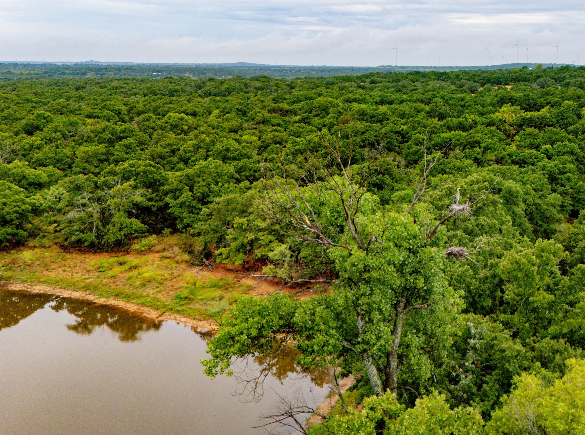 Ranch For Sale in Jack County , TBD N College Street, Bryson, Texas 76427, 0, 0, Garage spaces, 0 Sqft, built in 0, mls#21024779, Real Estate Agent in Bryson, Homes For Sale in Jack county, Homes For Sale in Bryson, Realtor in Bryson Texas, Real Estate Brokerage Independent Realty Texas, Luminita Cordes Realtor