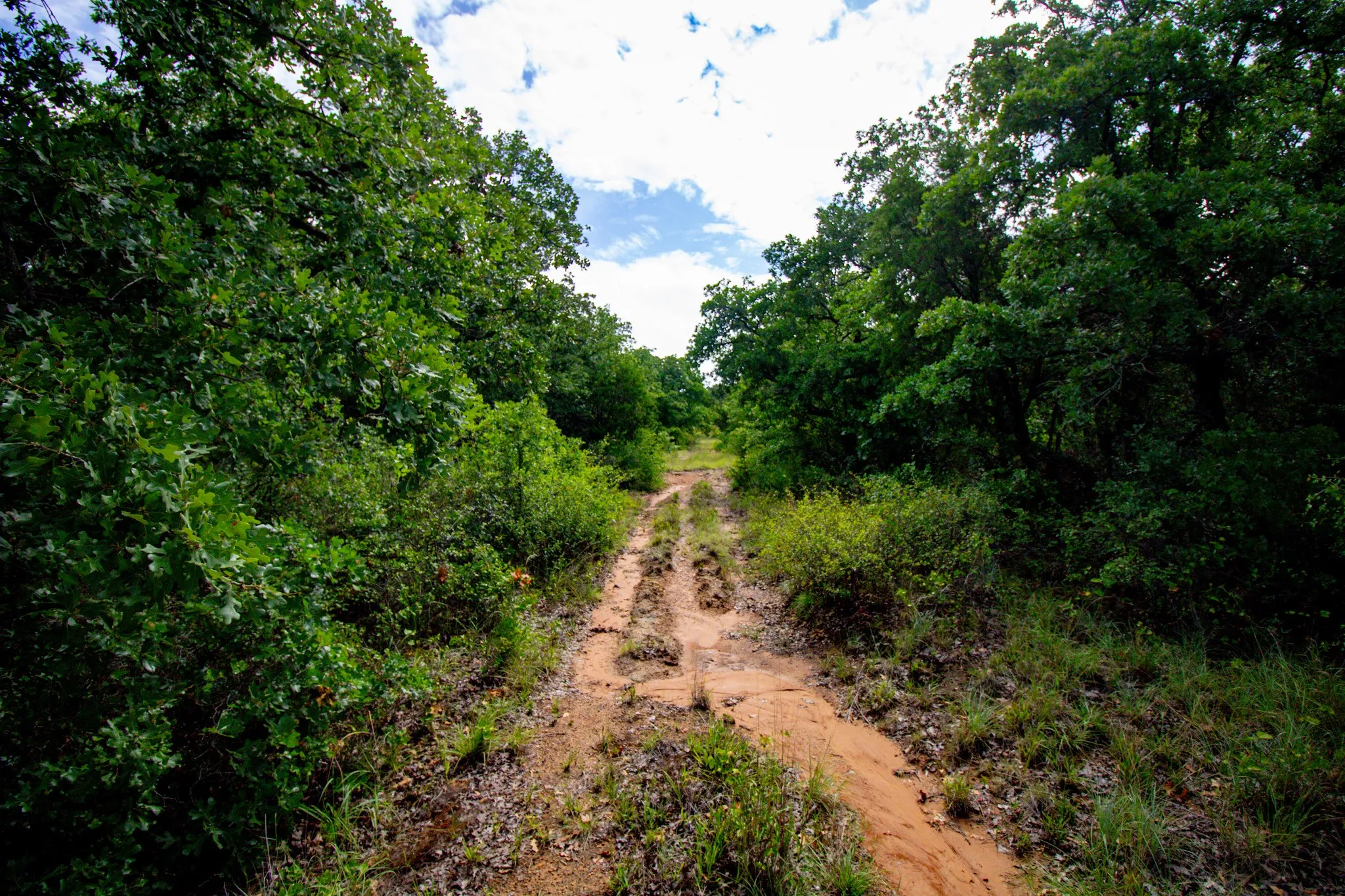 Ranch For Sale in Jack County , TBD N College Street, Bryson, Texas 76427, 0, 0, Garage spaces, 0 Sqft, built in 0, mls#21024779, Real Estate Agent in Bryson, Homes For Sale in Jack county, Homes For Sale in Bryson, Realtor in Bryson Texas, Real Estate Brokerage Independent Realty Texas, Luminita Cordes Realtor