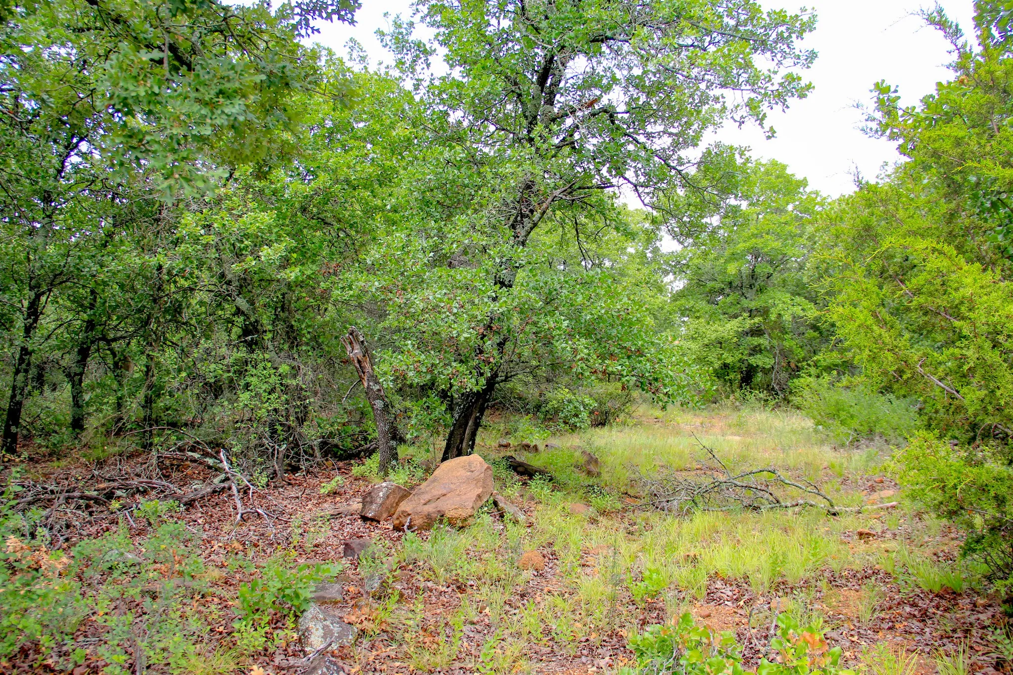 Ranch For Sale in Jack County , TBD N College Street, Bryson, Texas 76427, 0, 0, Garage spaces, 0 Sqft, built in 0, mls#21024779, Real Estate Agent in Bryson, Homes For Sale in Jack county, Homes For Sale in Bryson, Realtor in Bryson Texas, Real Estate Brokerage Independent Realty Texas, Luminita Cordes Realtor