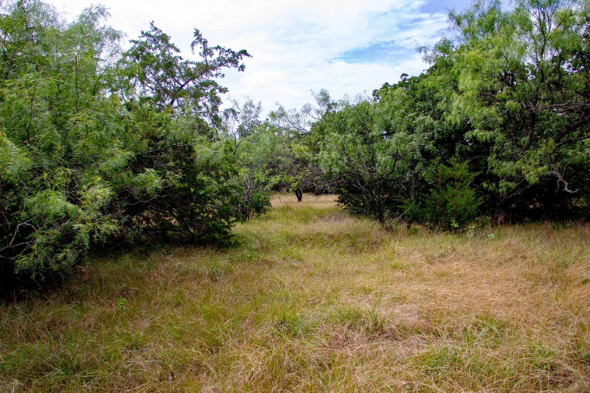 Ranch For Sale in Jack County , TBD N College Street, Bryson, Texas 76427, 0, 0, Garage spaces, 0 Sqft, built in 0, mls#21024779, Real Estate Agent in Bryson, Homes For Sale in Jack county, Homes For Sale in Bryson, Realtor in Bryson Texas, Real Estate Brokerage Independent Realty Texas, Luminita Cordes Realtor