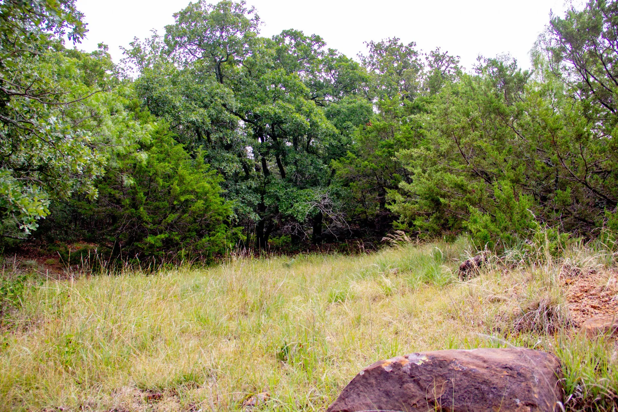 Ranch For Sale in Jack County , TBD N College Street, Bryson, Texas 76427, 0, 0, Garage spaces, 0 Sqft, built in 0, mls#21024779, Real Estate Agent in Bryson, Homes For Sale in Jack county, Homes For Sale in Bryson, Realtor in Bryson Texas, Real Estate Brokerage Independent Realty Texas, Luminita Cordes Realtor