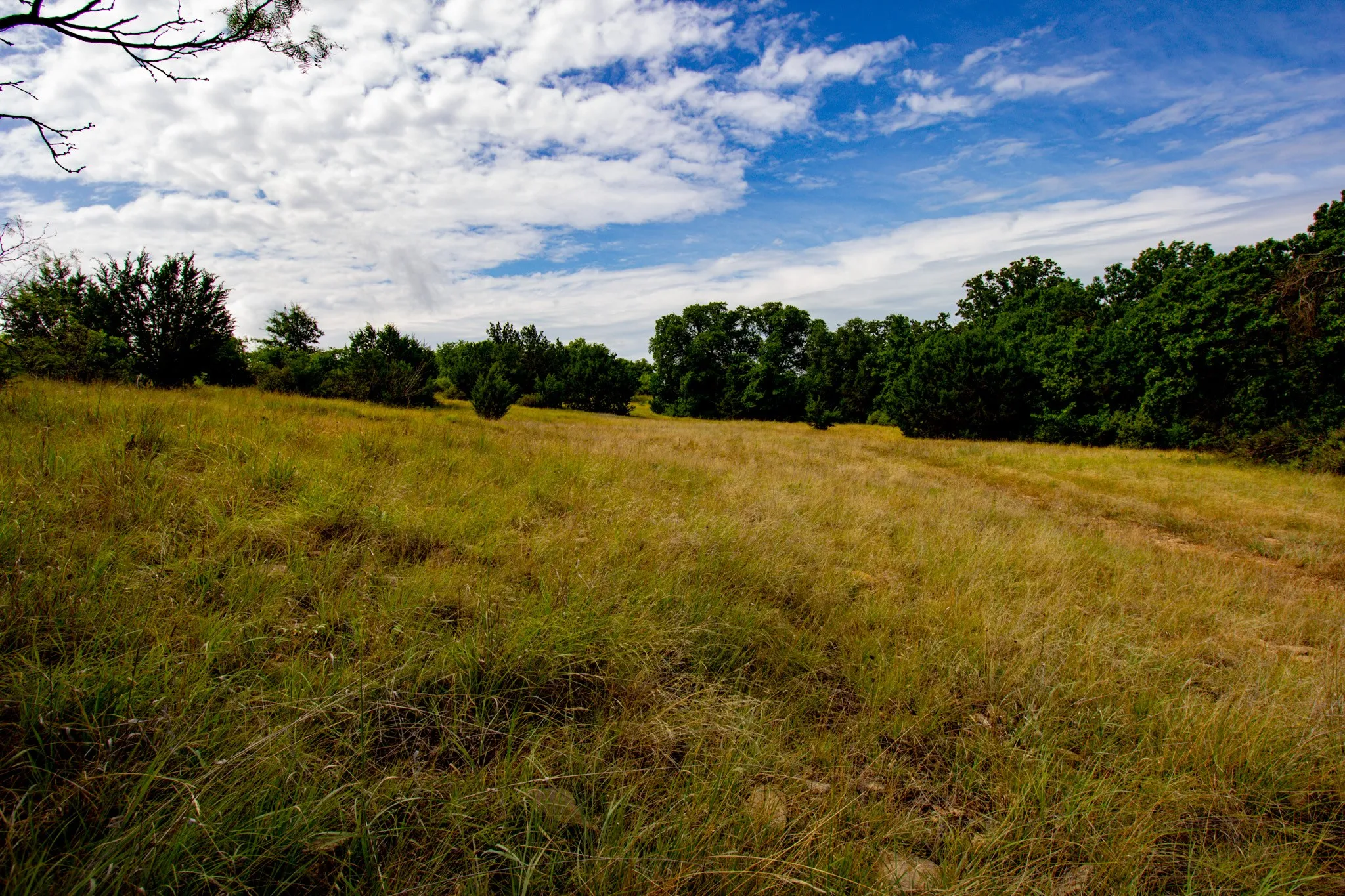 Ranch For Sale in Jack County , TBD N College Street, Bryson, Texas 76427, 0, 0, Garage spaces, 0 Sqft, built in 0, mls#21024779, Real Estate Agent in Bryson, Homes For Sale in Jack county, Homes For Sale in Bryson, Realtor in Bryson Texas, Real Estate Brokerage Independent Realty Texas, Luminita Cordes Realtor