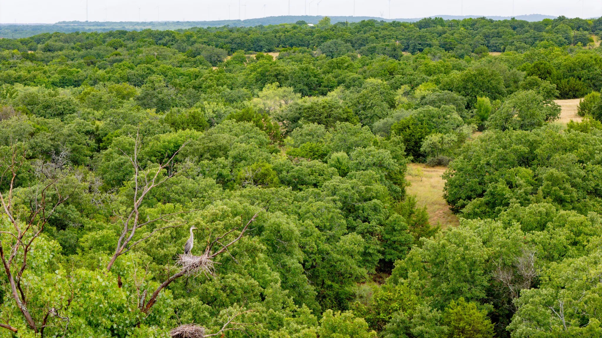 Ranch For Sale in Jack County , TBD N College Street, Bryson, Texas 76427, 0, 0, Garage spaces, 0 Sqft, built in 0, mls#21024779, Real Estate Agent in Bryson, Homes For Sale in Jack county, Homes For Sale in Bryson, Realtor in Bryson Texas, Real Estate Brokerage Independent Realty Texas, Luminita Cordes Realtor