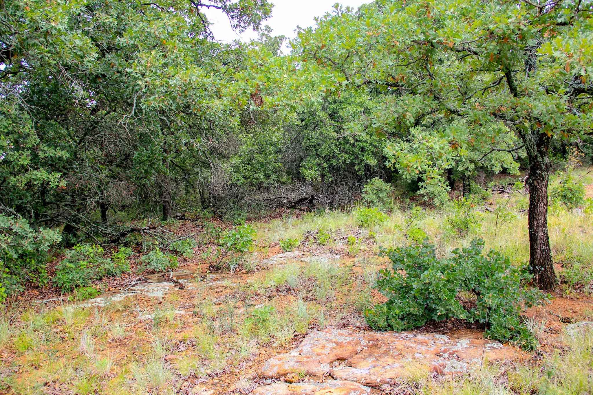 Ranch For Sale in Jack County , TBD N College Street, Bryson, Texas 76427, 0, 0, Garage spaces, 0 Sqft, built in 0, mls#21024779, Real Estate Agent in Bryson, Homes For Sale in Jack county, Homes For Sale in Bryson, Realtor in Bryson Texas, Real Estate Brokerage Independent Realty Texas, Luminita Cordes Realtor
