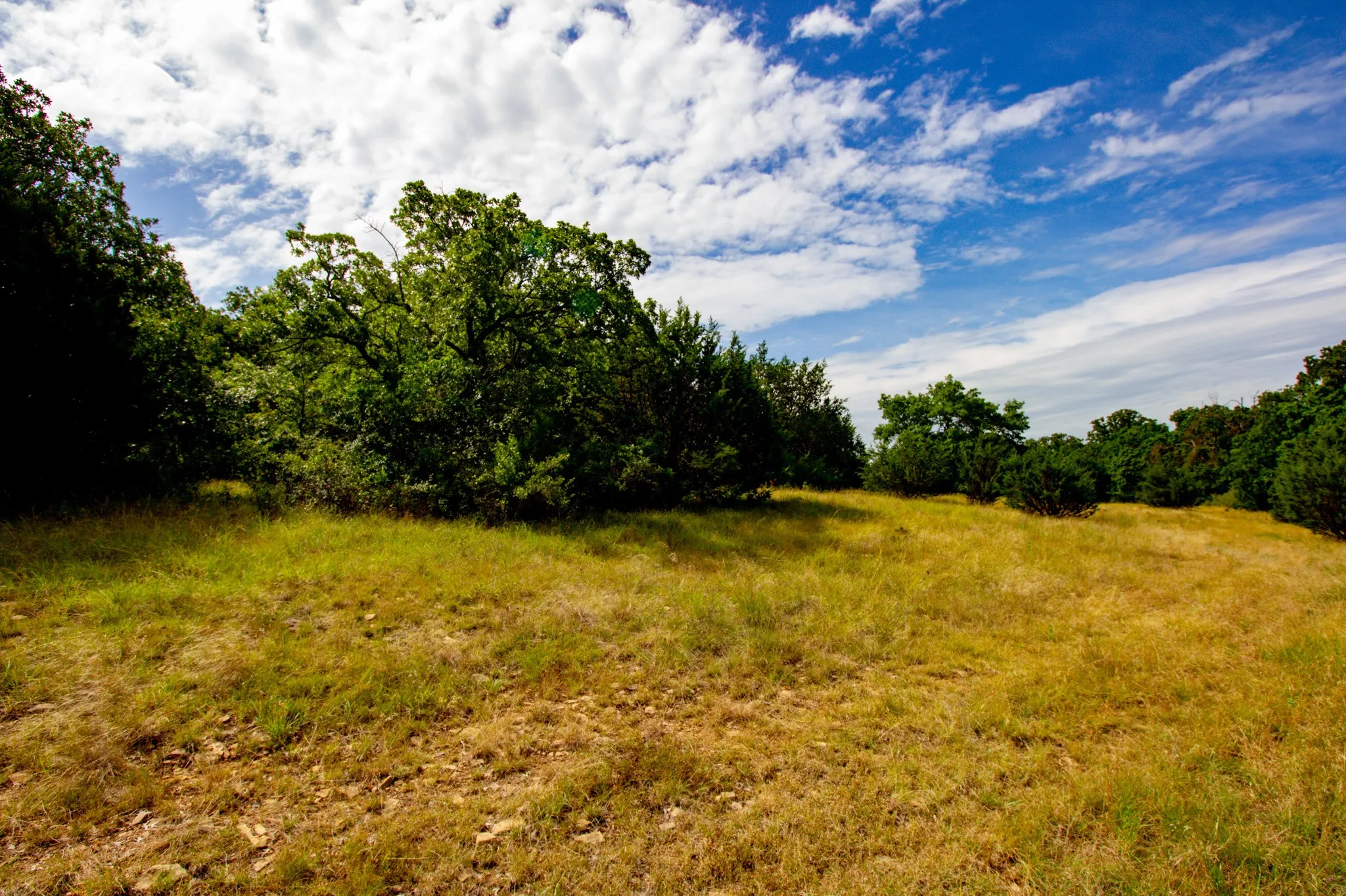 Ranch For Sale in Jack County , TBD N College Street, Bryson, Texas 76427, 0, 0, Garage spaces, 0 Sqft, built in 0, mls#21024779, Real Estate Agent in Bryson, Homes For Sale in Jack county, Homes For Sale in Bryson, Realtor in Bryson Texas, Real Estate Brokerage Independent Realty Texas, Luminita Cordes Realtor