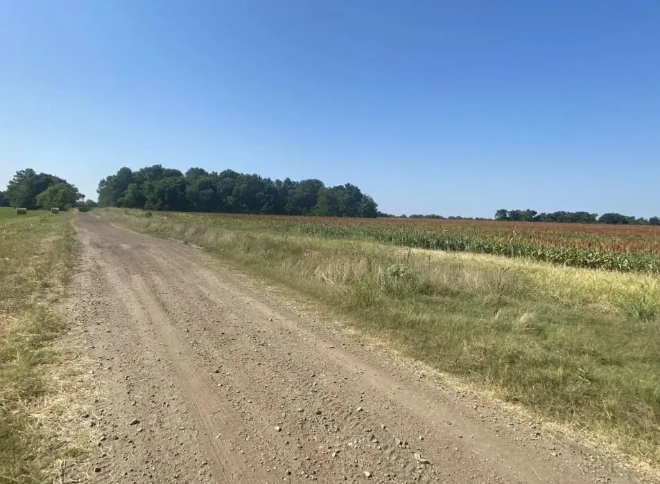 View of dirt / gravel road with a rural view