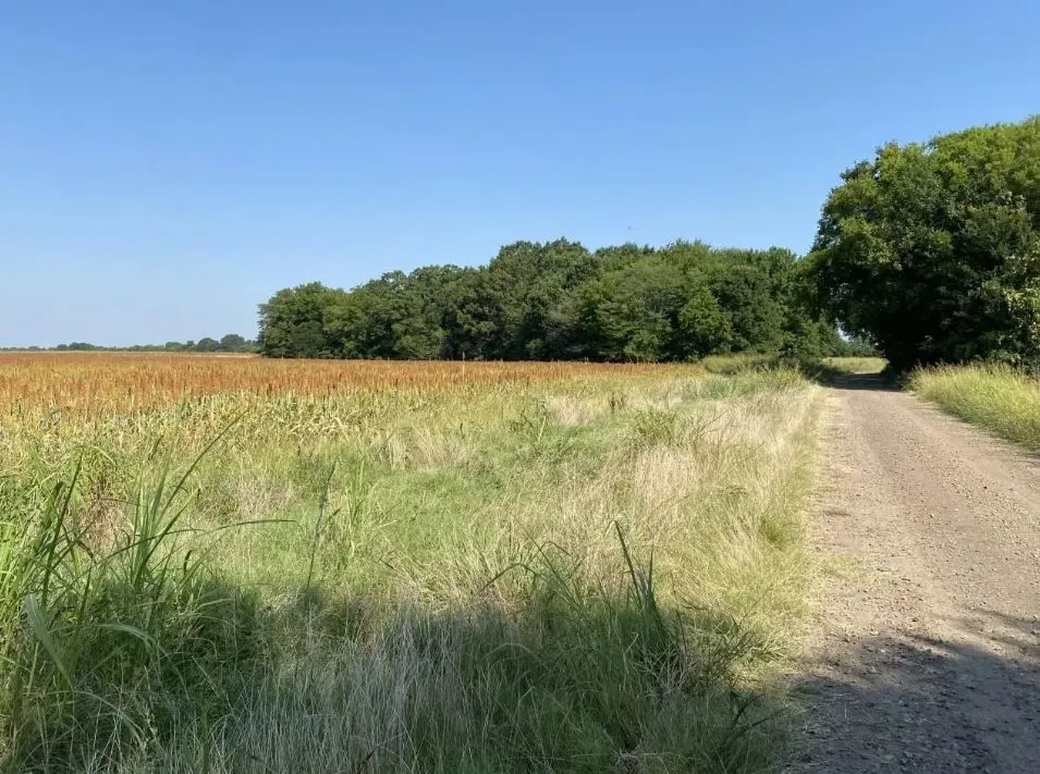 View of nature featuring rural landscape