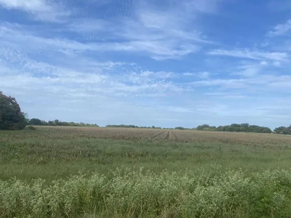 View of local wilderness with rural landscape