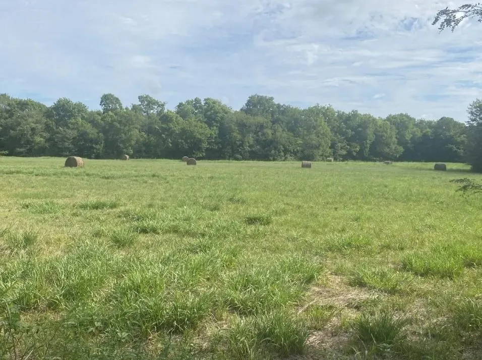 View of wooded area with a rural view