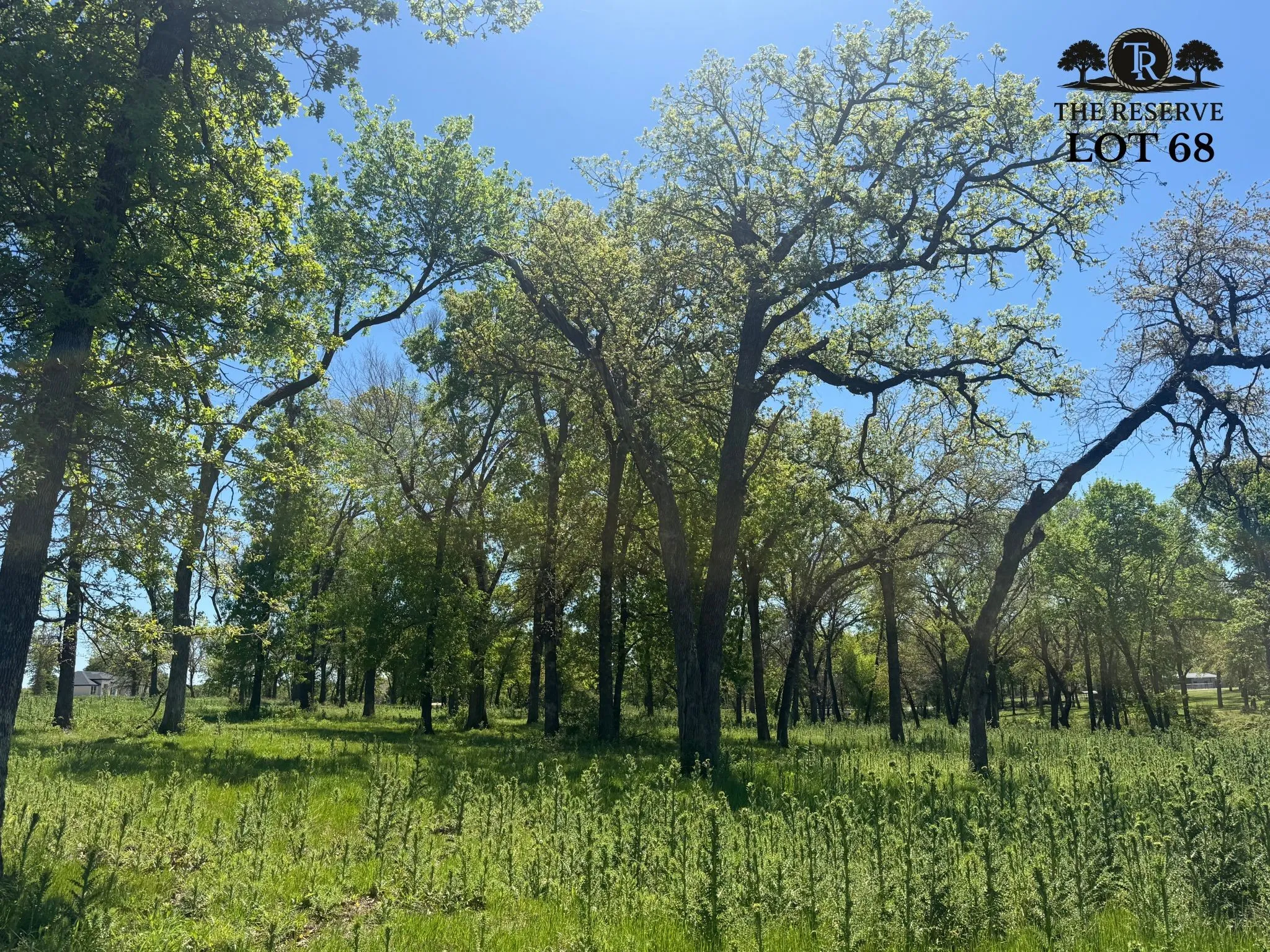 Unimproved Land For Sale in Parker County , Lot 68 Camden Lane, Springtown, Texas 76082, 0, 0, Garage spaces, 0 Sqft, built in 0, Price $89,000, mls#21024123, Real Estate Agent in Springtown, Homes For Sale in Parker county, Homes For Sale in Springtown, Realtor in Springtown Texas, Real Estate Brokerage Independent Realty Texas, Luminita Cordes Realtor