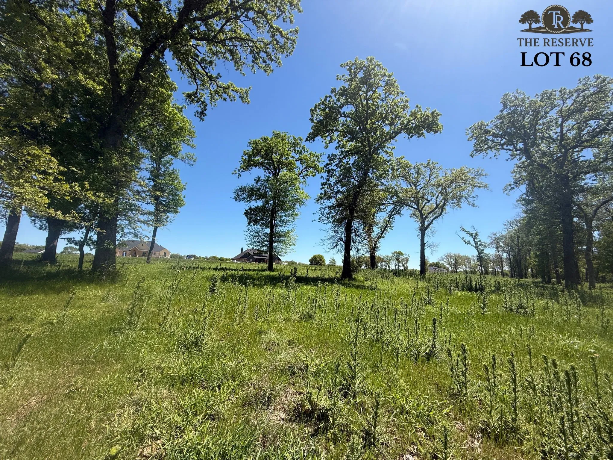 Unimproved Land For Sale in Parker County , Lot 68 Camden Lane, Springtown, Texas 76082, 0, 0, Garage spaces, 0 Sqft, built in 0, Price $89,000, mls#21024123, Real Estate Agent in Springtown, Homes For Sale in Parker county, Homes For Sale in Springtown, Realtor in Springtown Texas, Real Estate Brokerage Independent Realty Texas, Luminita Cordes Realtor