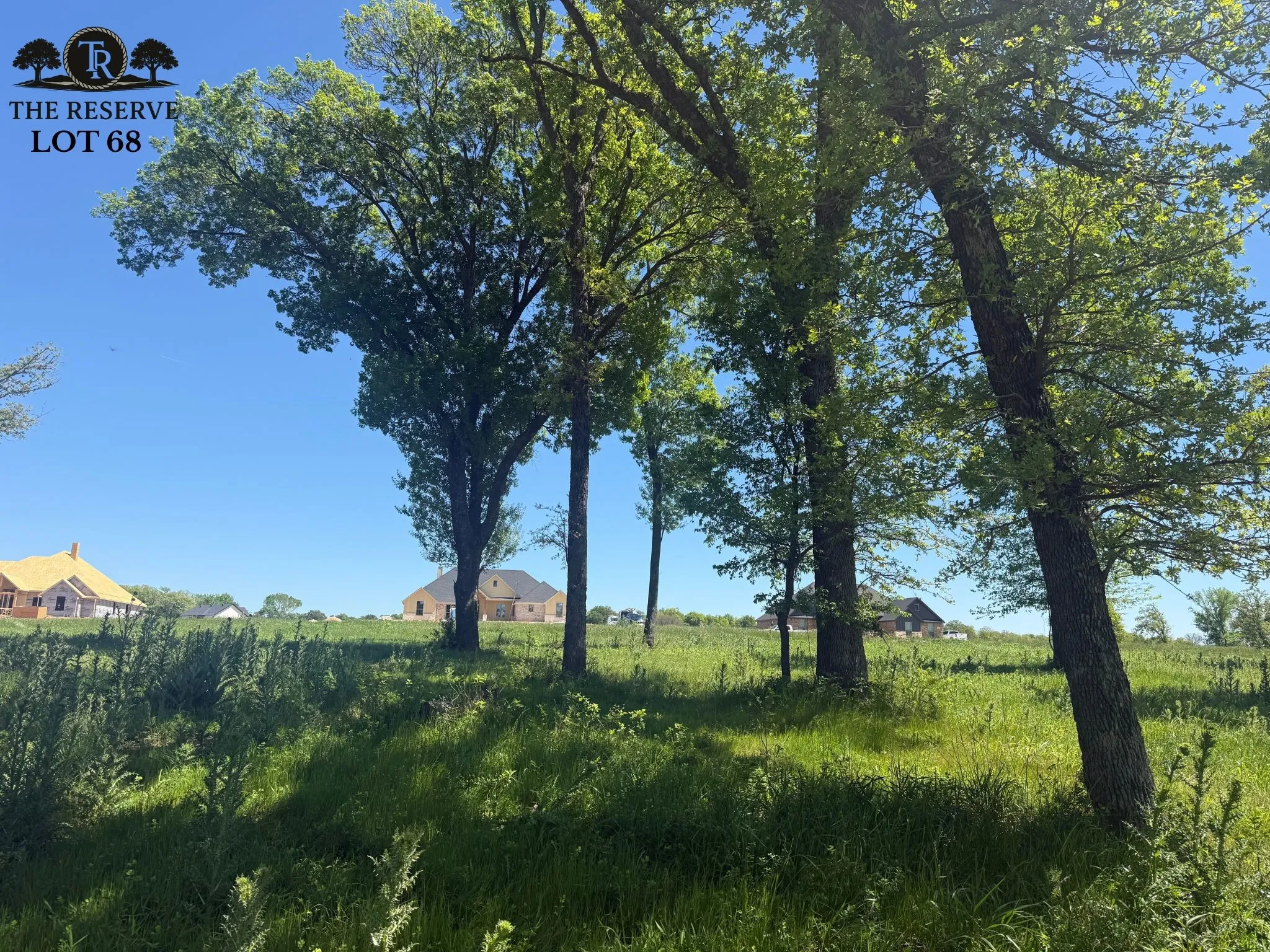 Unimproved Land For Sale in Parker County , Lot 68 Camden Lane, Springtown, Texas 76082, 0, 0, Garage spaces, 0 Sqft, built in 0, Price $89,000, mls#21024123, Real Estate Agent in Springtown, Homes For Sale in Parker county, Homes For Sale in Springtown, Realtor in Springtown Texas, Real Estate Brokerage Independent Realty Texas, Luminita Cordes Realtor