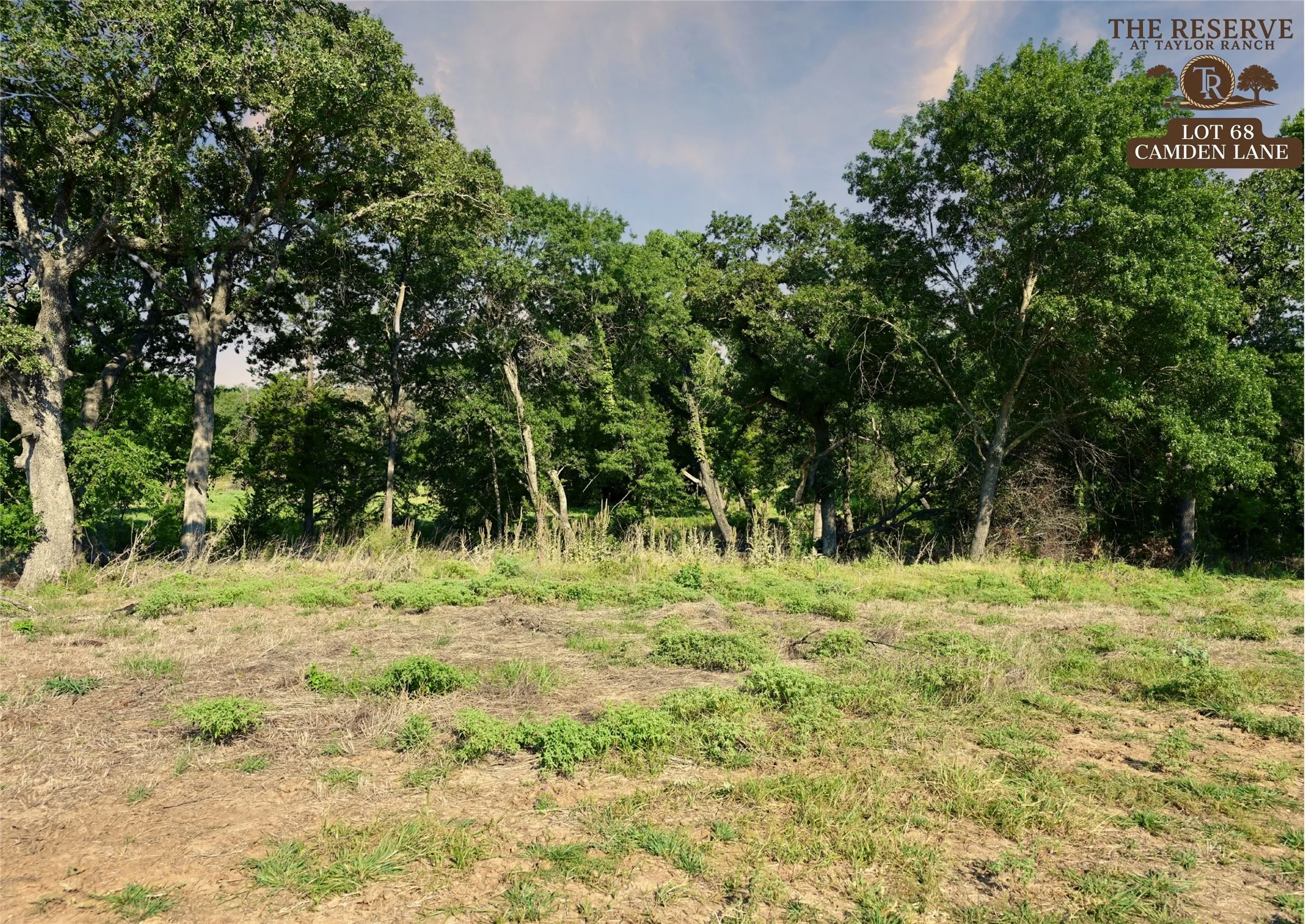 Unimproved Land For Sale in Parker County , Lot 68 Camden Lane, Springtown, Texas 76082, 0, 0, Garage spaces, 0 Sqft, built in 0, Price $89,000, mls#21024123, Real Estate Agent in Springtown, Homes For Sale in Parker county, Homes For Sale in Springtown, Realtor in Springtown Texas, Real Estate Brokerage Independent Realty Texas, Luminita Cordes Realtor