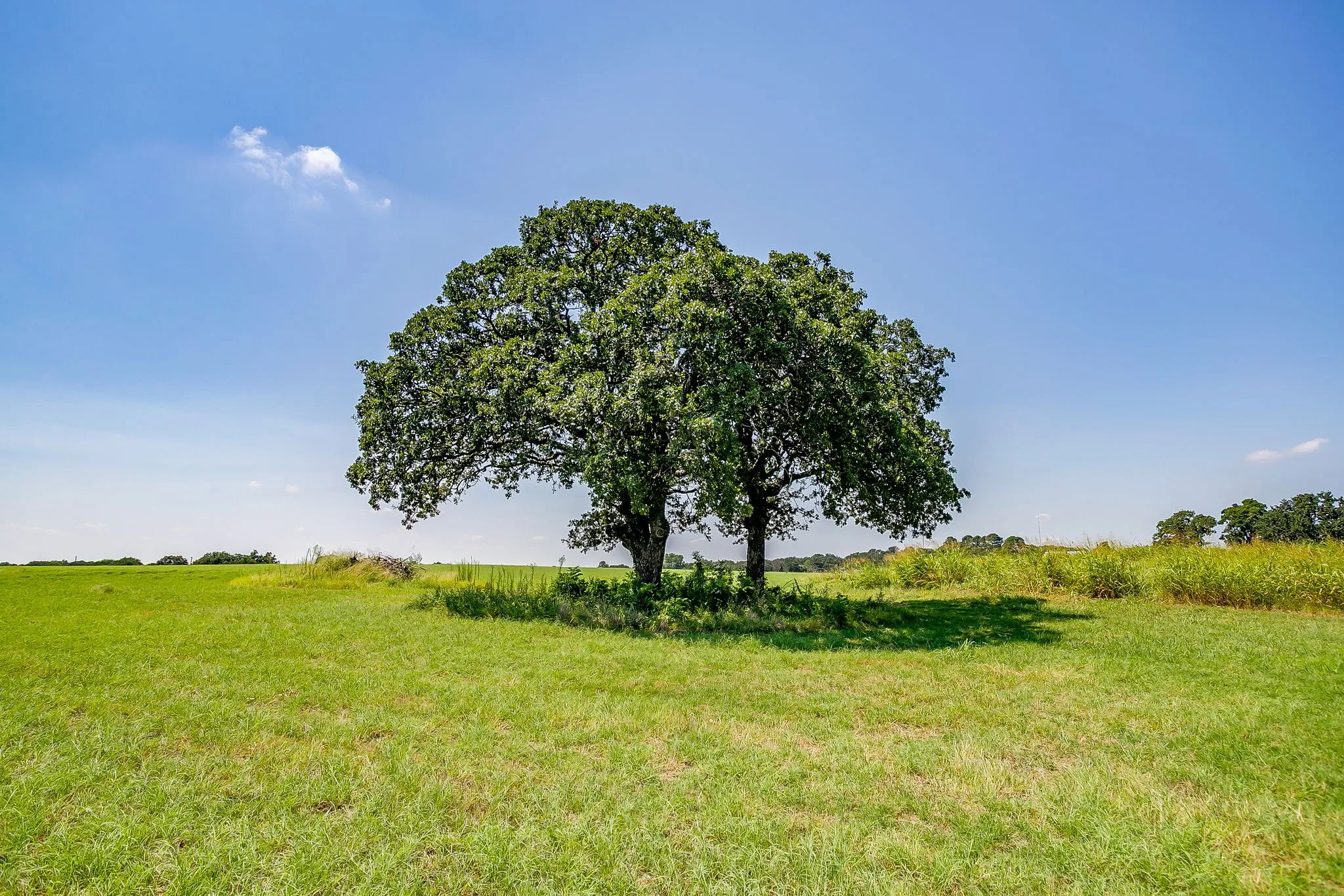 View of grassy yard featuring a rural view