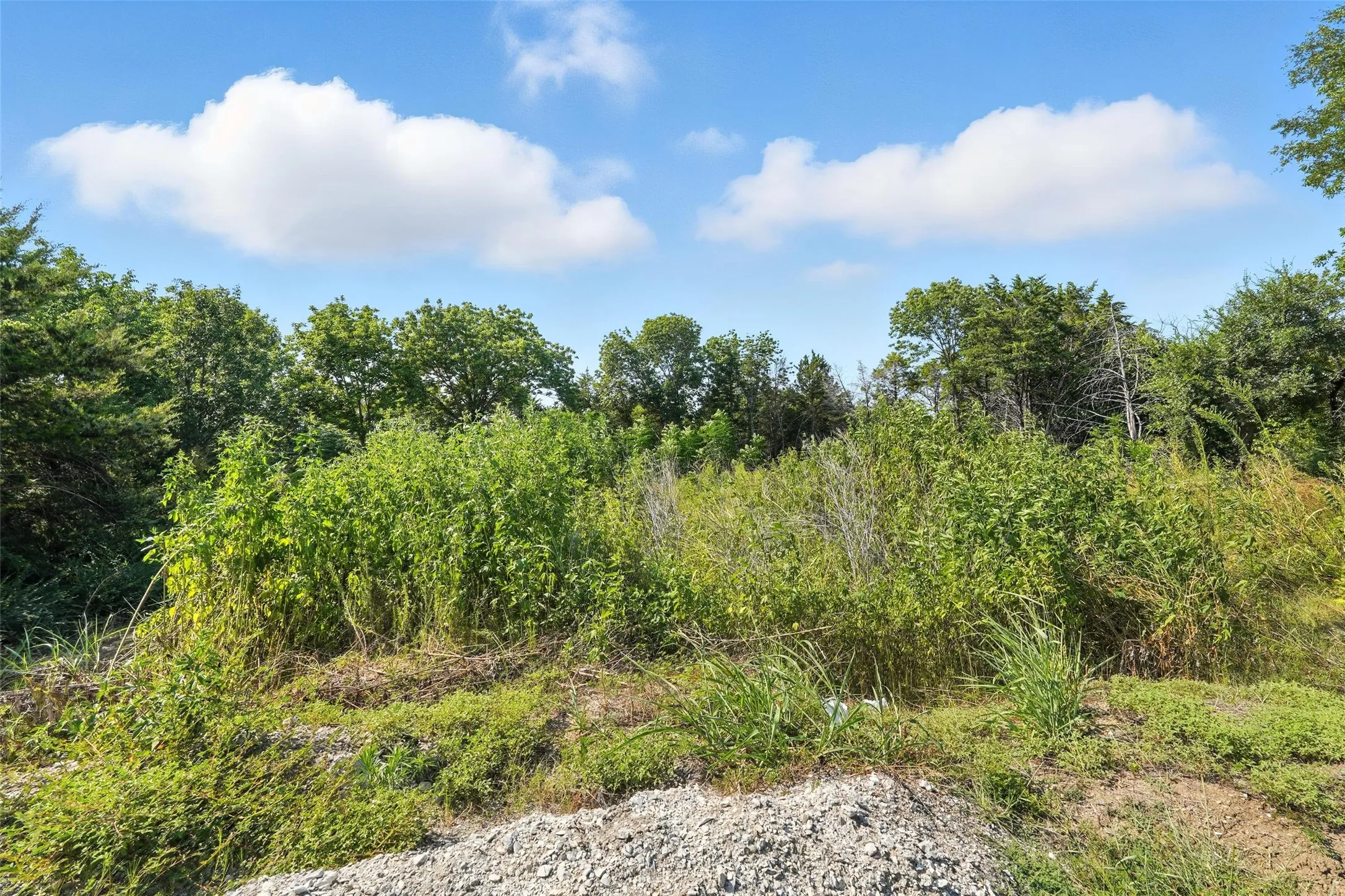 View of undeveloped land