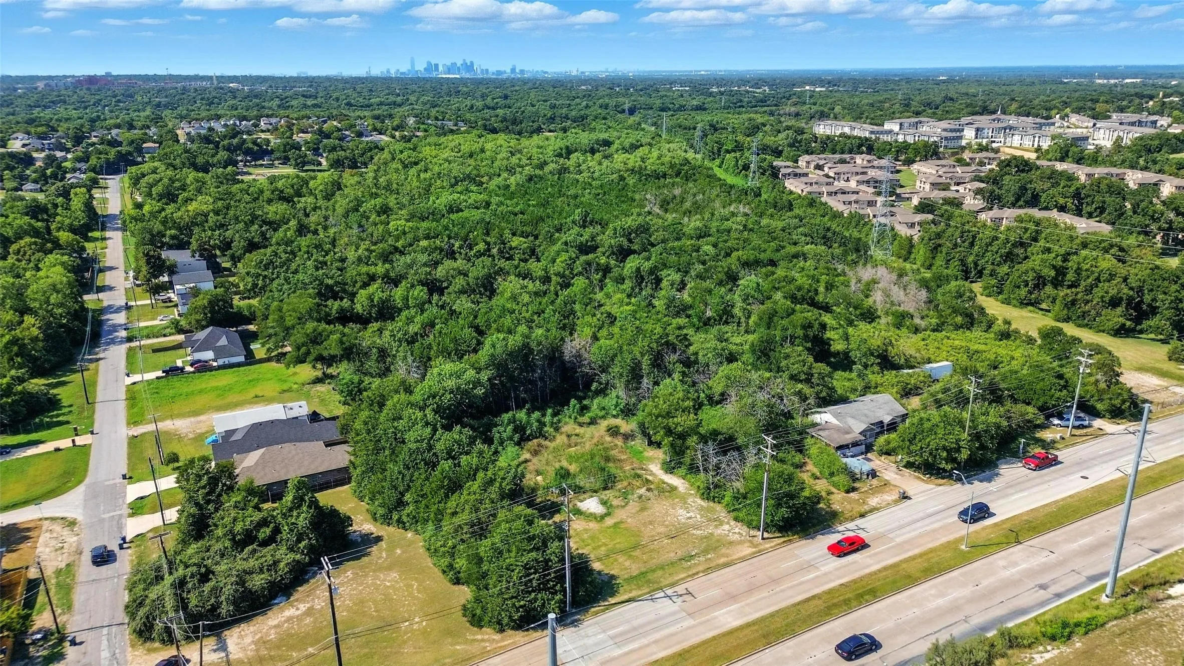 Aerial view of a forest