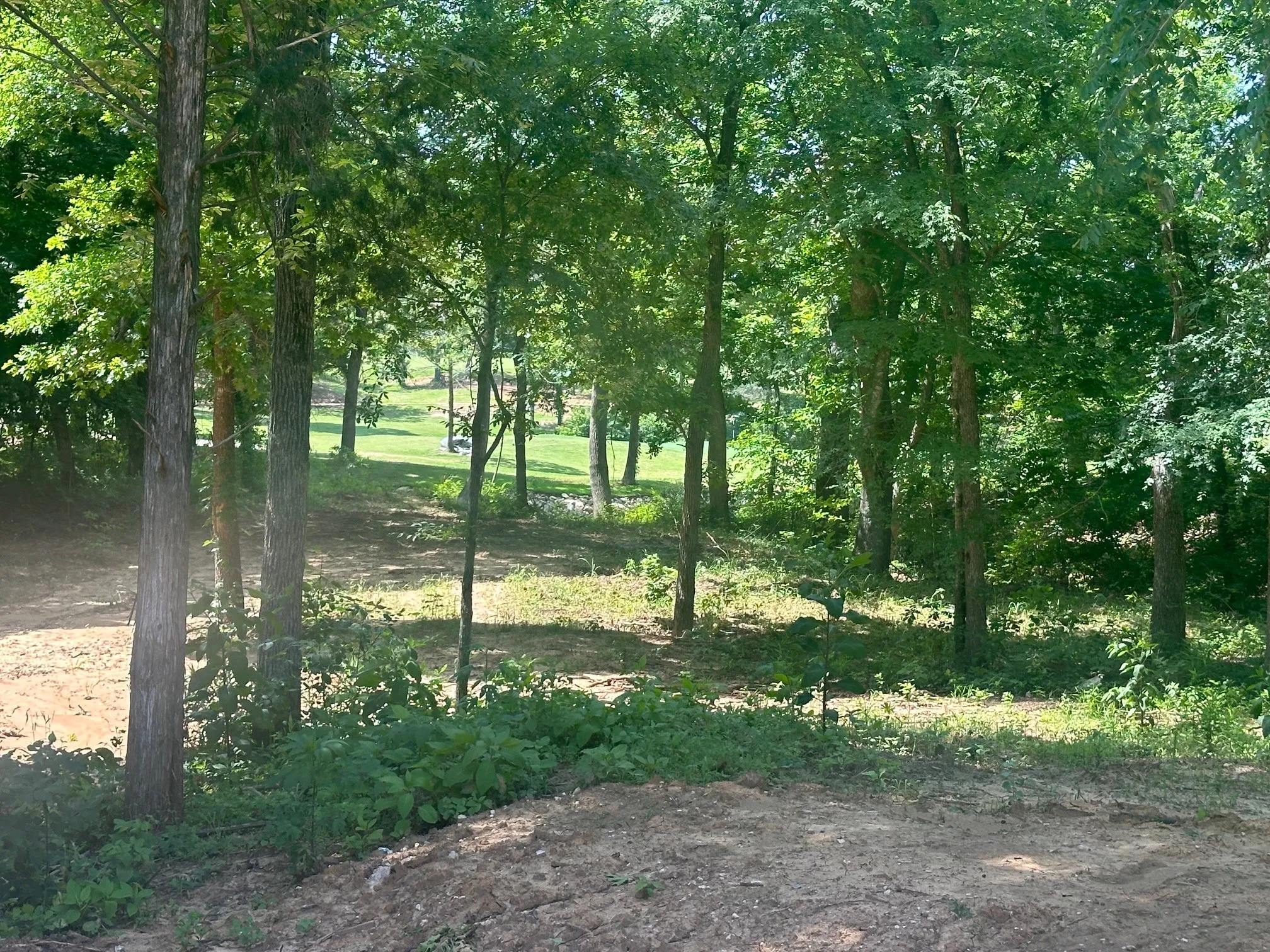 Unimproved Land For Sale in Grayson County , 32C Coyote Springs Court, Gordonville, Texas 76245, 0, 0, Garage spaces, 0 Sqft, built in 0, mls#21026131, Real Estate Agent in Gordonville, Homes For Sale in Grayson county, Homes For Sale in Gordonville, Realtor in Gordonville Texas, Real Estate Brokerage Independent Realty Texas, Luminita Cordes Realtor