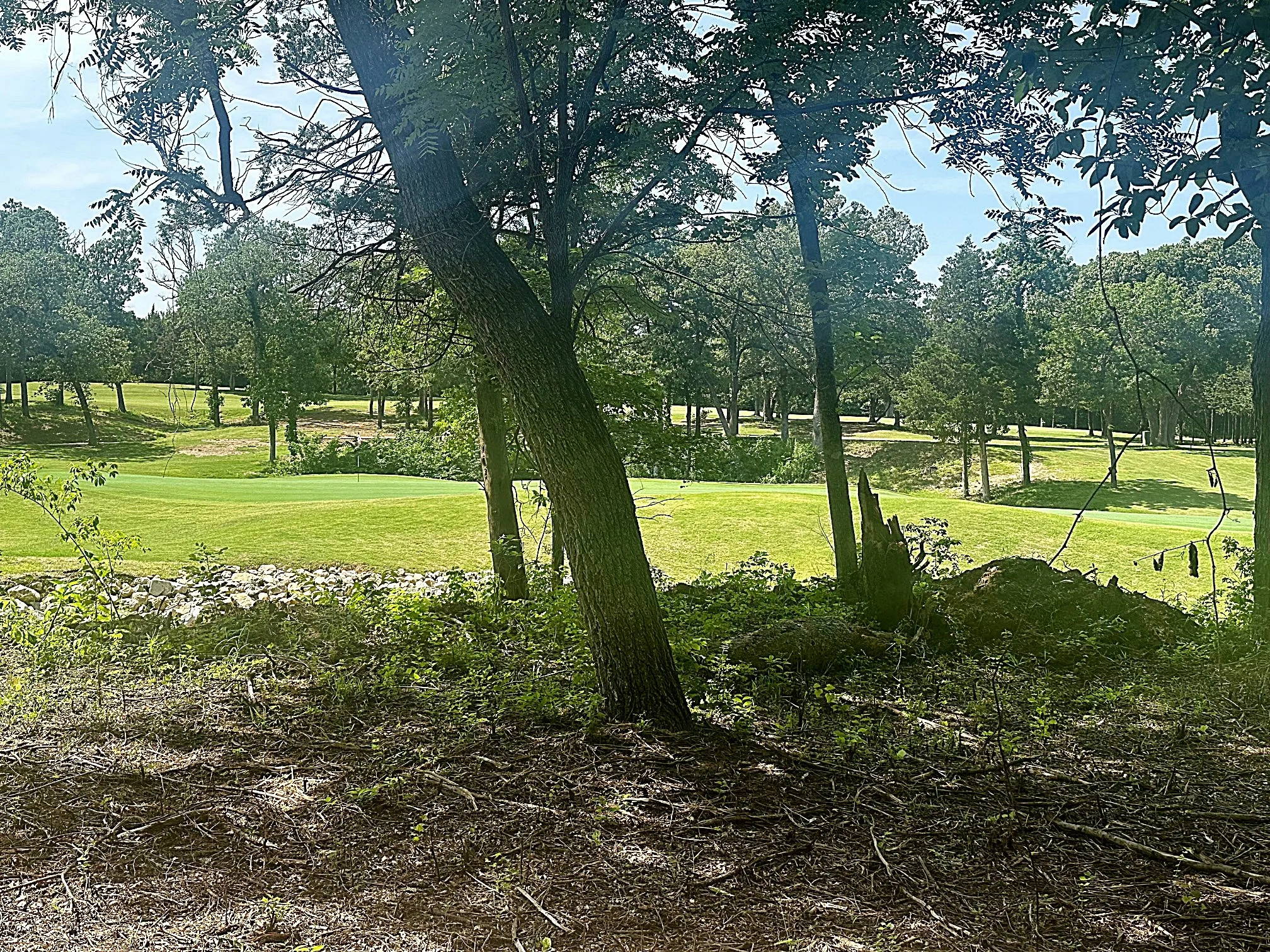 Unimproved Land For Sale in Grayson County , 32C Coyote Springs Court, Gordonville, Texas 76245, 0, 0, Garage spaces, 0 Sqft, built in 0, mls#21026131, Real Estate Agent in Gordonville, Homes For Sale in Grayson county, Homes For Sale in Gordonville, Realtor in Gordonville Texas, Real Estate Brokerage Independent Realty Texas, Luminita Cordes Realtor
