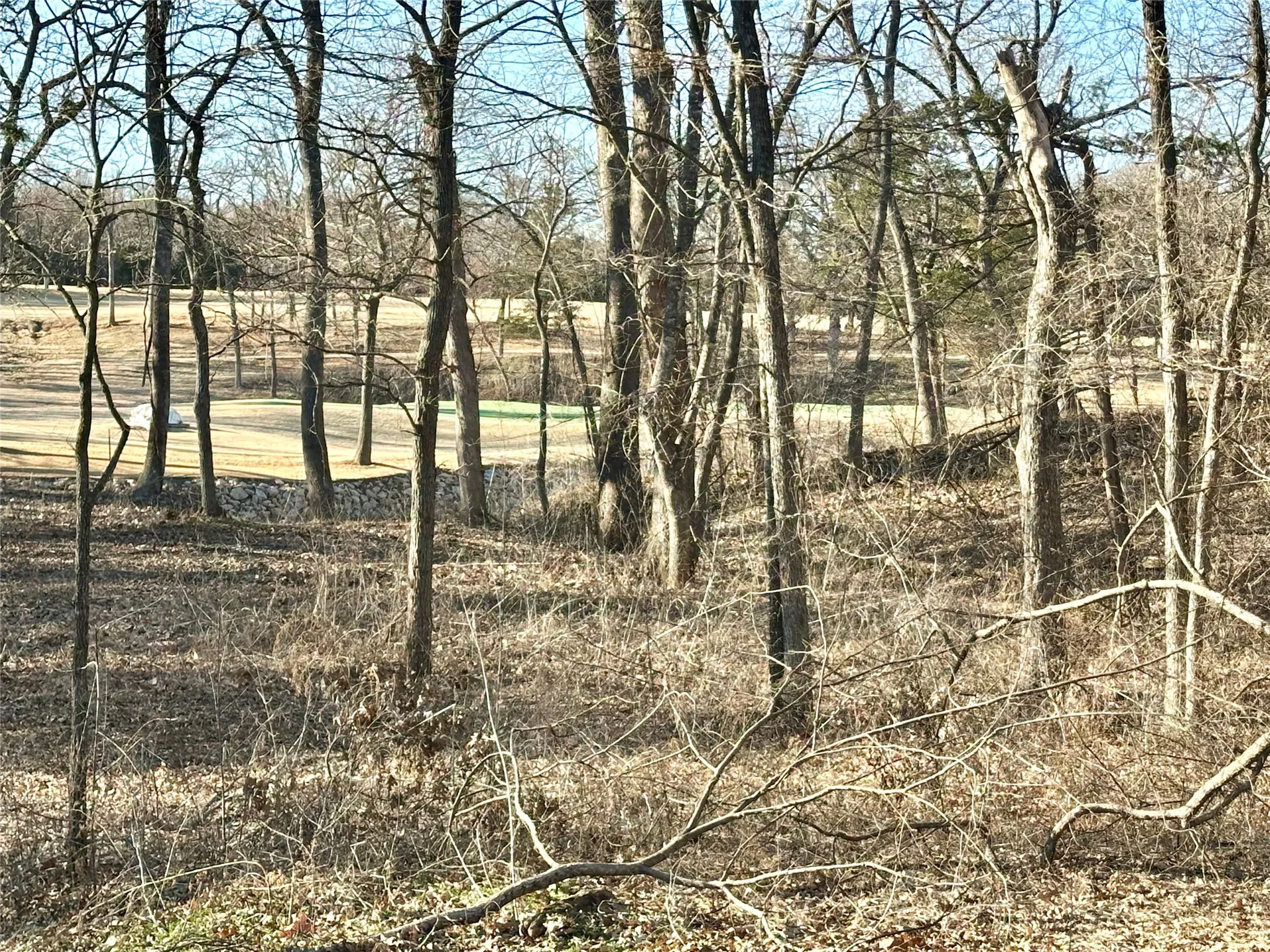 Unimproved Land For Sale in Grayson County , 32C Coyote Springs Court, Gordonville, Texas 76245, 0, 0, Garage spaces, 0 Sqft, built in 0, mls#21026131, Real Estate Agent in Gordonville, Homes For Sale in Grayson county, Homes For Sale in Gordonville, Realtor in Gordonville Texas, Real Estate Brokerage Independent Realty Texas, Luminita Cordes Realtor