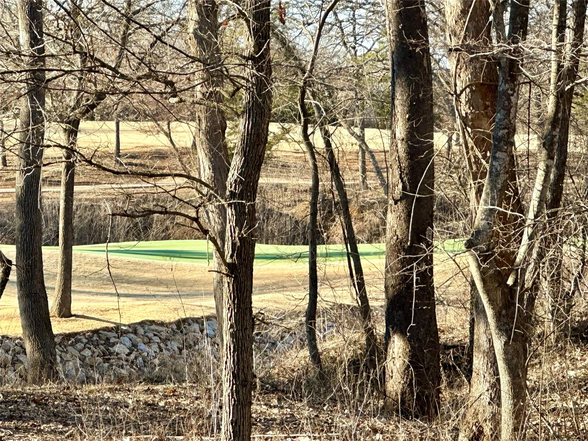 Unimproved Land For Sale in Grayson County , 32C Coyote Springs Court, Gordonville, Texas 76245, 0, 0, Garage spaces, 0 Sqft, built in 0, mls#21026131, Real Estate Agent in Gordonville, Homes For Sale in Grayson county, Homes For Sale in Gordonville, Realtor in Gordonville Texas, Real Estate Brokerage Independent Realty Texas, Luminita Cordes Realtor