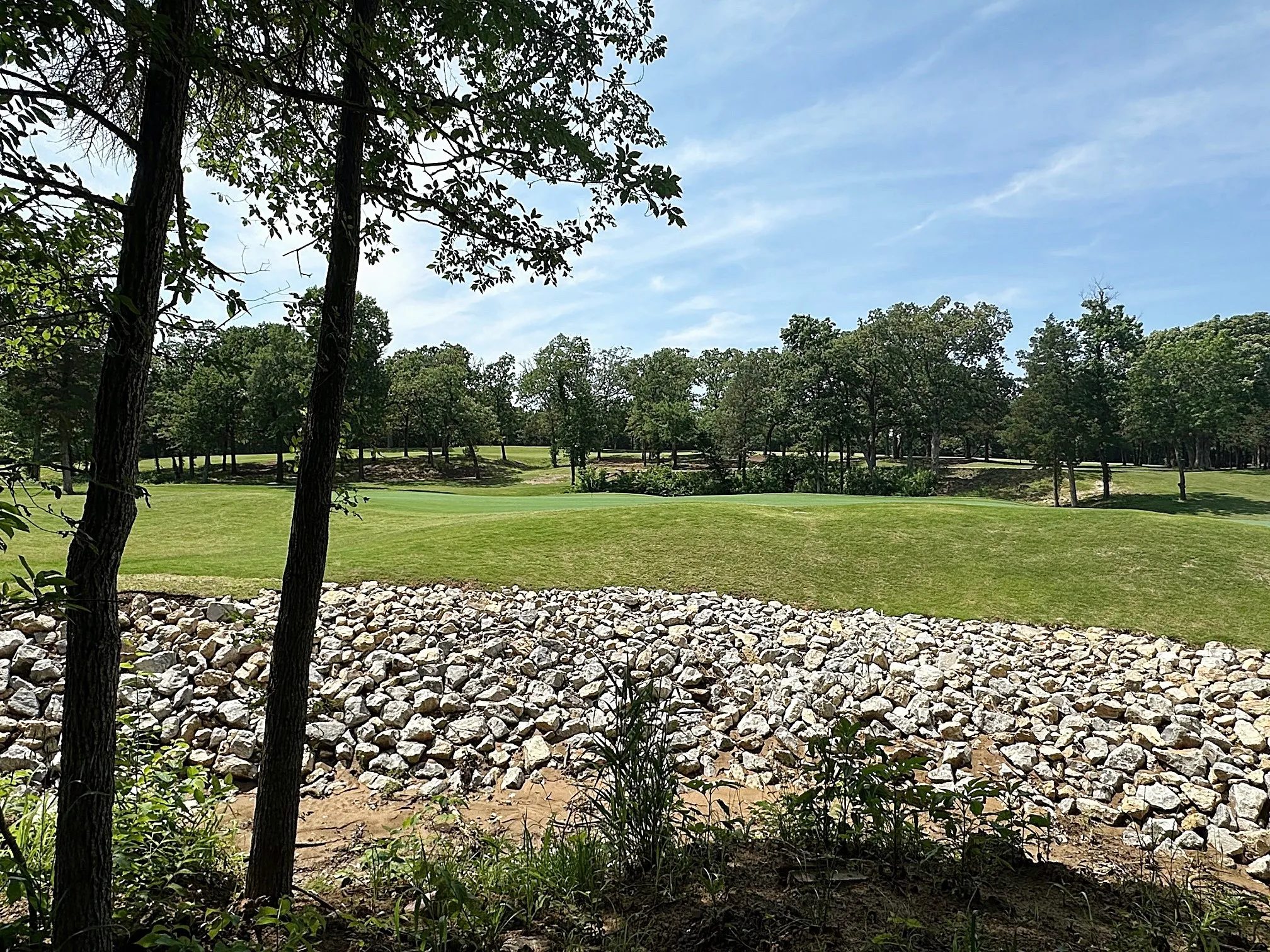 Unimproved Land For Sale in Grayson County , 32C Coyote Springs Court, Gordonville, Texas 76245, 0, 0, Garage spaces, 0 Sqft, built in 0, mls#21026131, Real Estate Agent in Gordonville, Homes For Sale in Grayson county, Homes For Sale in Gordonville, Realtor in Gordonville Texas, Real Estate Brokerage Independent Realty Texas, Luminita Cordes Realtor